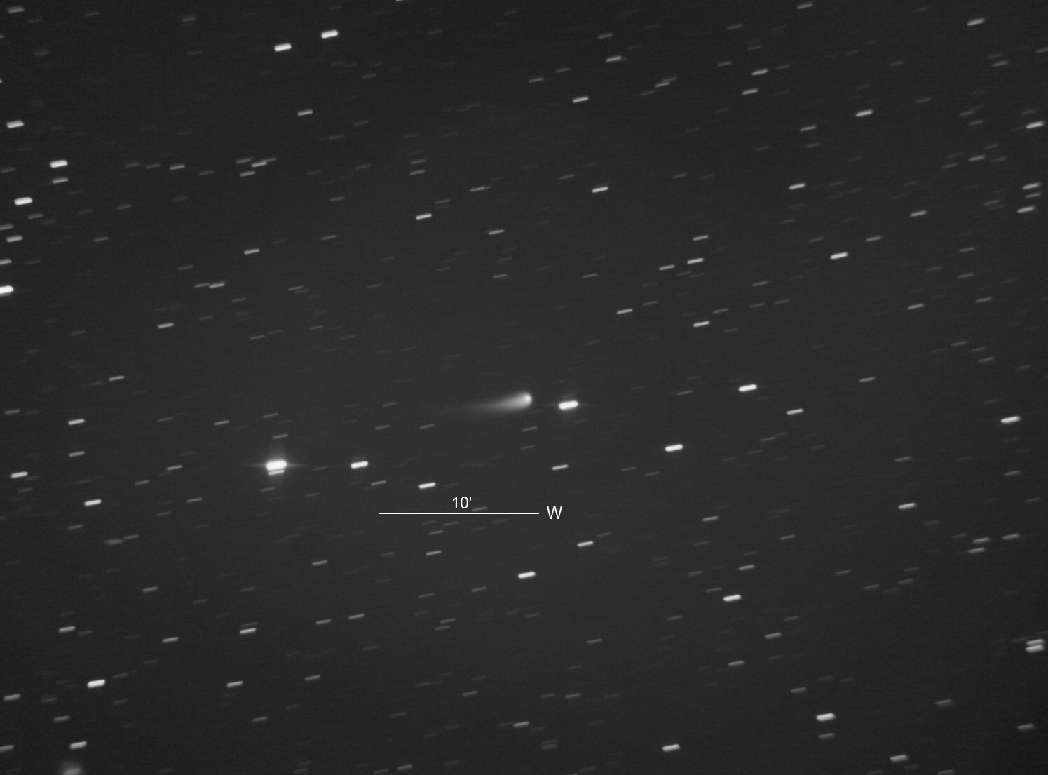 網友目擊C／2023 A3紫金山-阿特拉斯彗星滑落，讚嘆十分明亮。（翻攝X@hositosorekara）