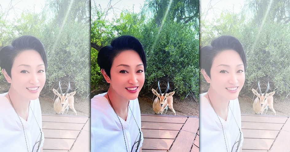 陳法蓉傳出遭身家逾10億的「油王」朱明詐騙2.8億港幣。（翻攝自陳法蓉微博）