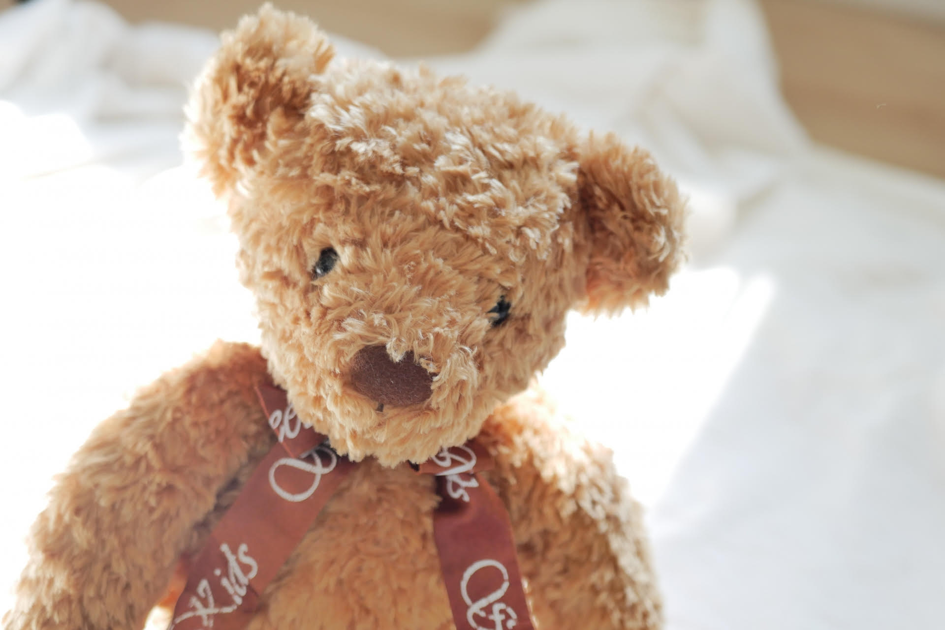 死者生前曾收過一隻絨毛娃娃，警方懷疑兇嫌利用玩偶內暗藏的GPS追蹤器掌握死者行蹤。（示意圖，Pixabay）