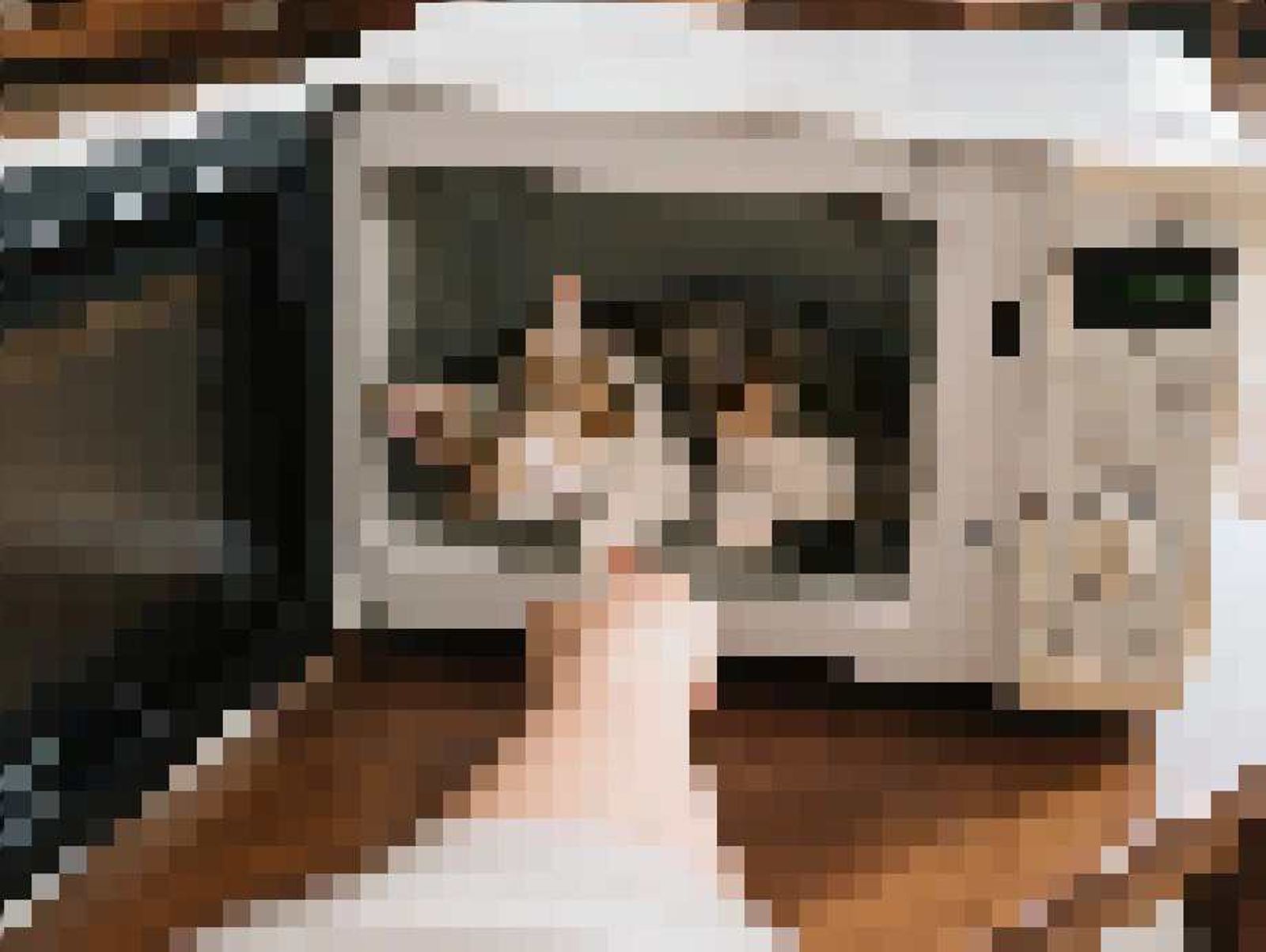 高雄市有位卓姓男子在網路上po出「微波爐虐貓」，還變態直呼「內臟都熟了」，引起許多人撻伐。（圖／白喬茵辦公室提供）