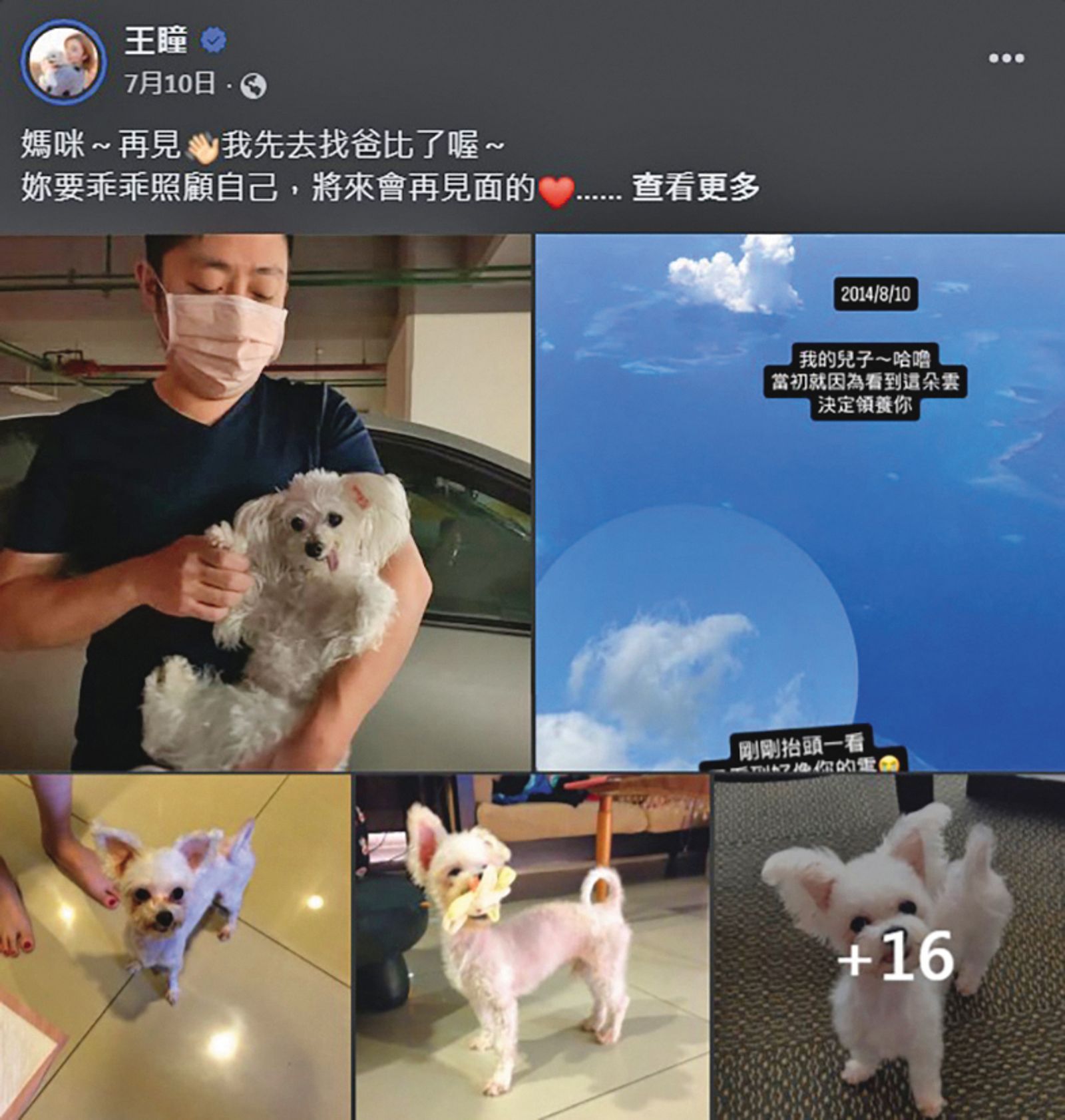 王瞳領養12年的失聰受虐犬是她的貼心寶貝，這2年她為高齡的哈嚕費盡心力，無奈今年7月初哈嚕辭世。（翻攝自王瞳臉書）