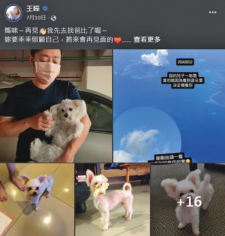 王瞳領養12年的失聰受虐犬是她的貼心寶貝，這2年她為高齡的哈嚕費盡心力，無奈今年7月初哈嚕辭世。（翻攝自王瞳臉書）