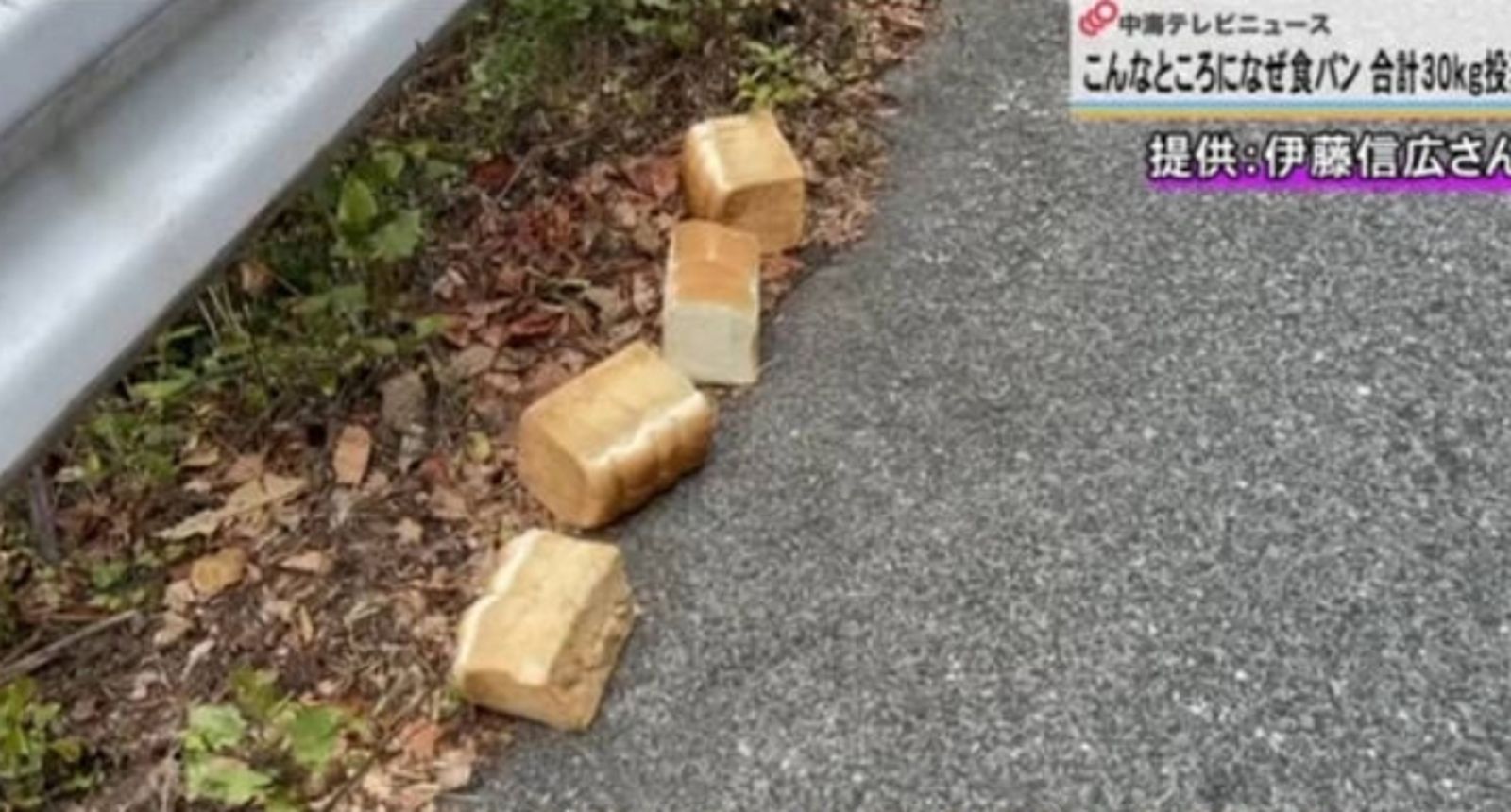 國家公園驚見「吐司怪客」!連3天狂丟28.5公斤巨量未切白吐司 官方憂恐釀1危險