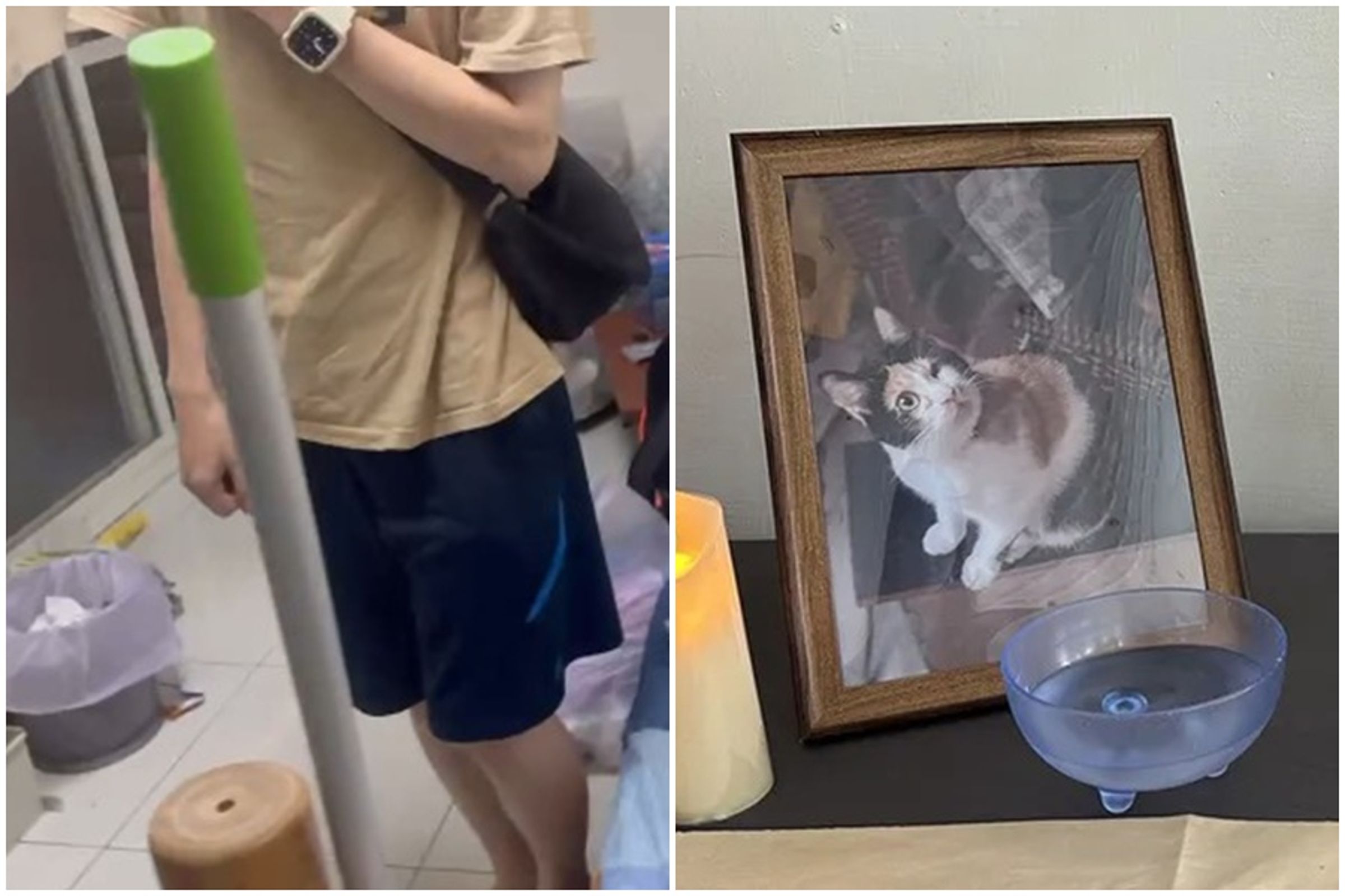玄奘大學就讀心理系的張姓大學生坦承，因不滿飼養的三花貓樂樂不配合吃藥，以襪子勒頸將牠虐死，消息曝光，引發大票網友撻伐。（翻攝自新竹縣議員朱健銘、玄奘大學臉書）