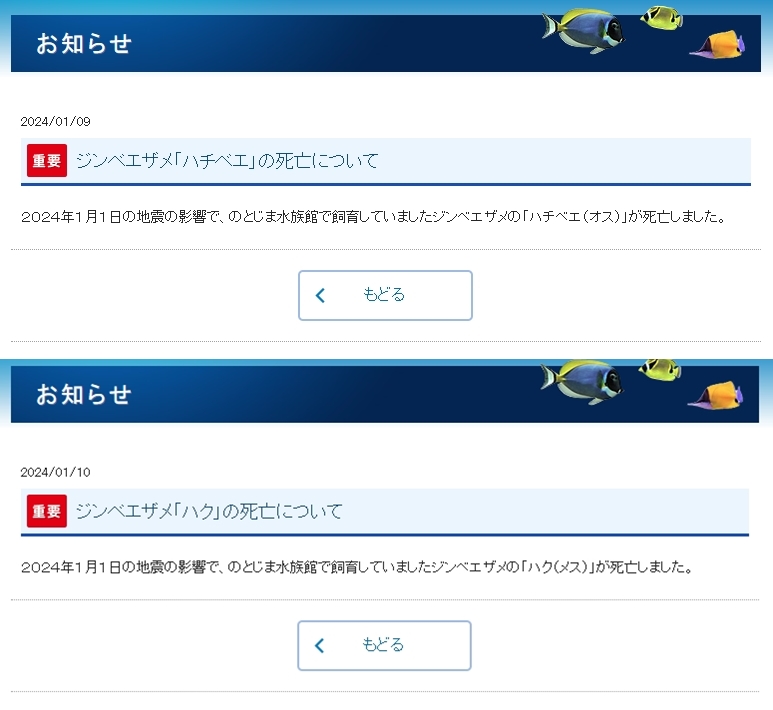 能登島水族館9日及10日在官網發布鯨鯊身亡的消息。(翻攝自のとじま水族館官網)