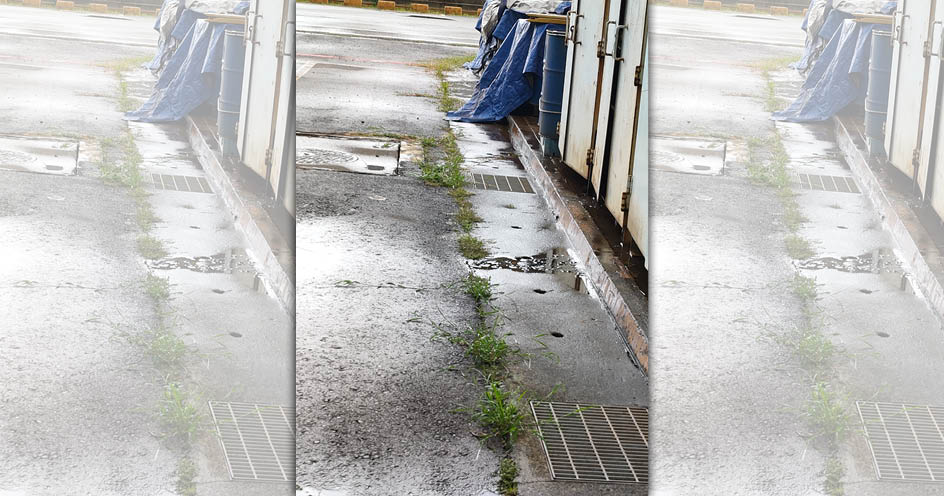 Ａ先生控訴遭主管霸凌，羞辱性要求拔除雜草，圖為雜草生長範圍。（讀者提供）