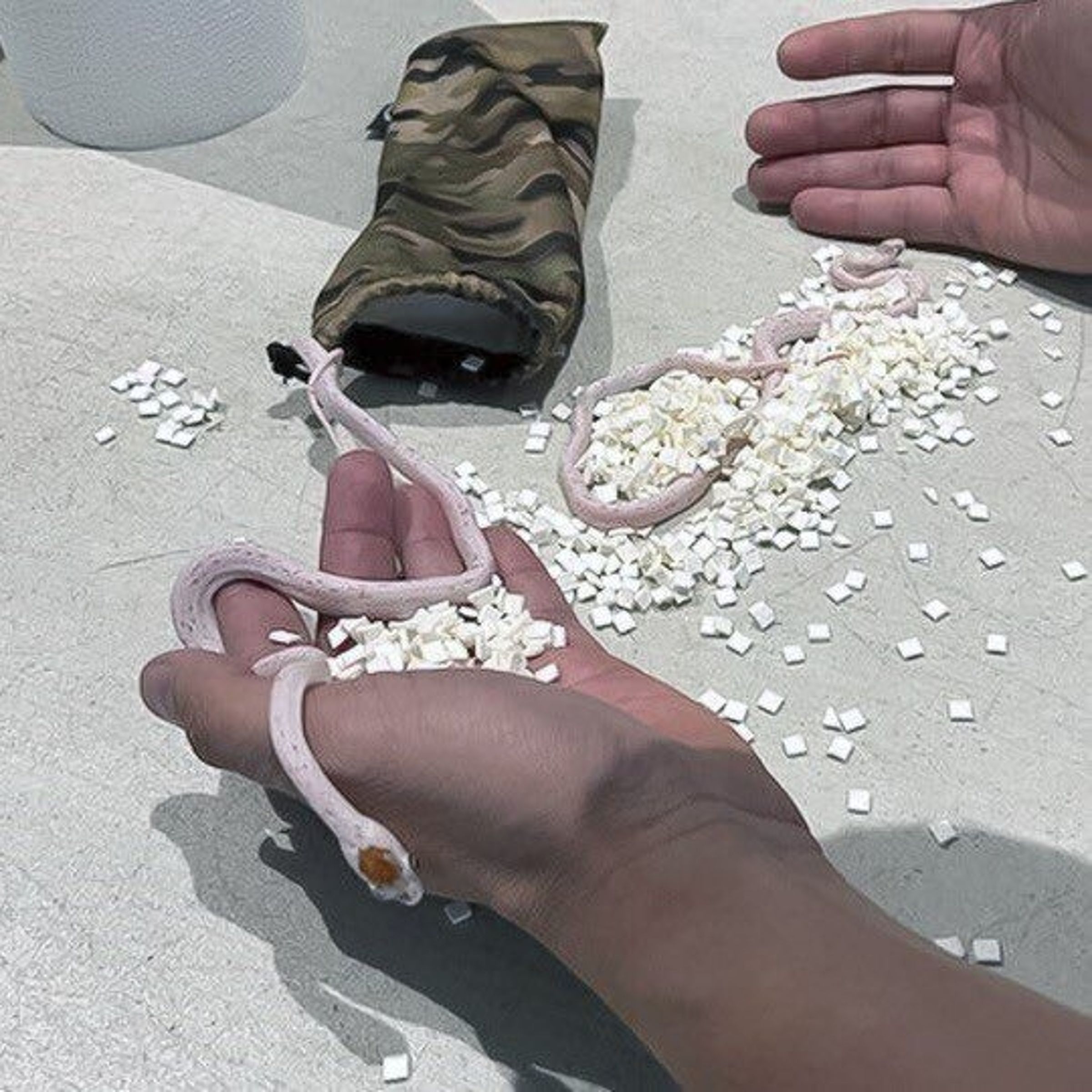 袋中發現2條蛇蛇。(翻自美國運輸安全管理局推特)
