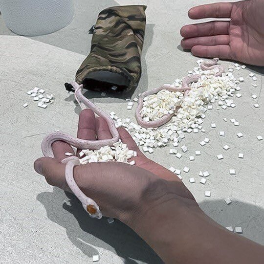 袋中發現2條蛇蛇。（翻自美國運輸安全管理局推特）