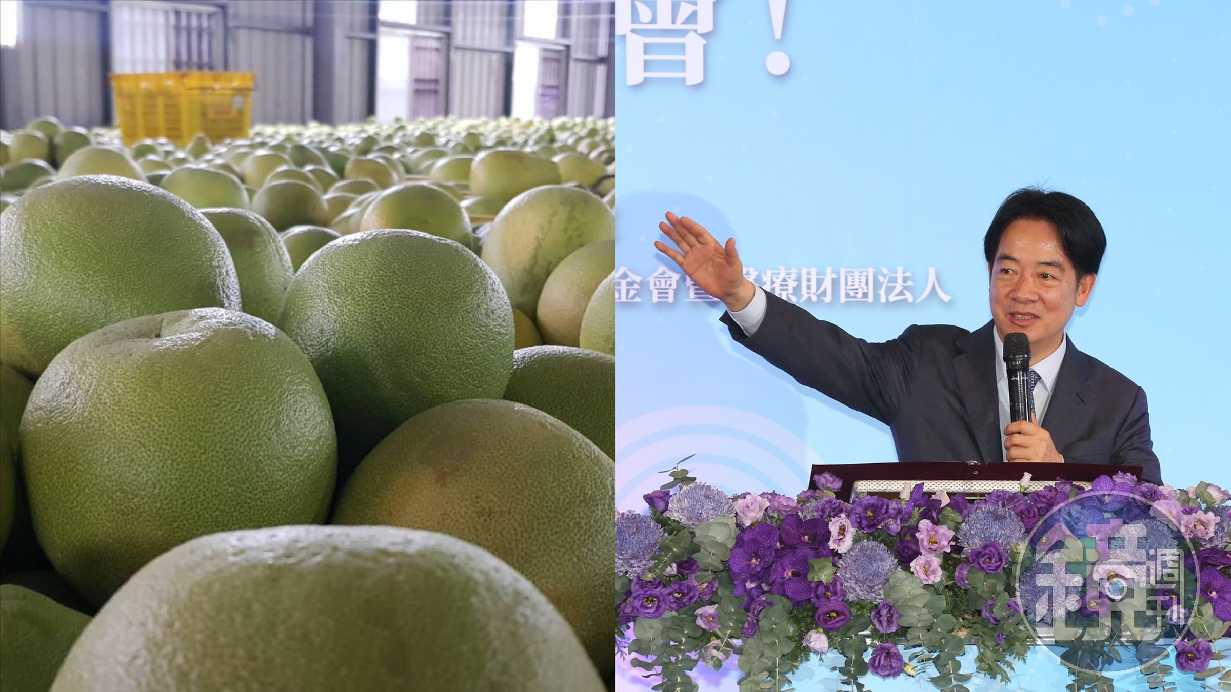 賴清德表示，開放特定縣市文旦貿易這種特殊化經貿往來的做法，實質上是中國利用經貿手段來分化台灣。（本刊資料照）