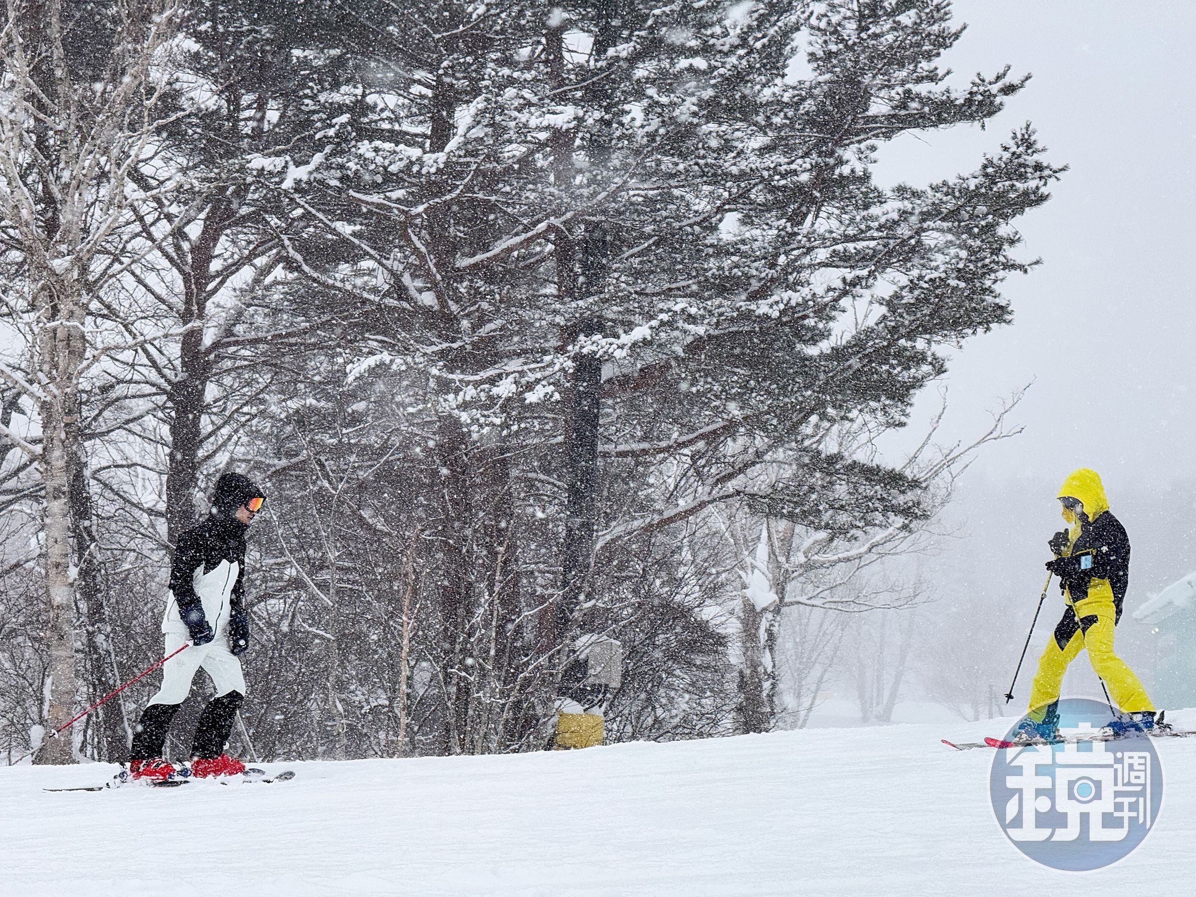 安比高原滑雪度假村共有21條路線，適合各種程度的滑雪客來挑戰。