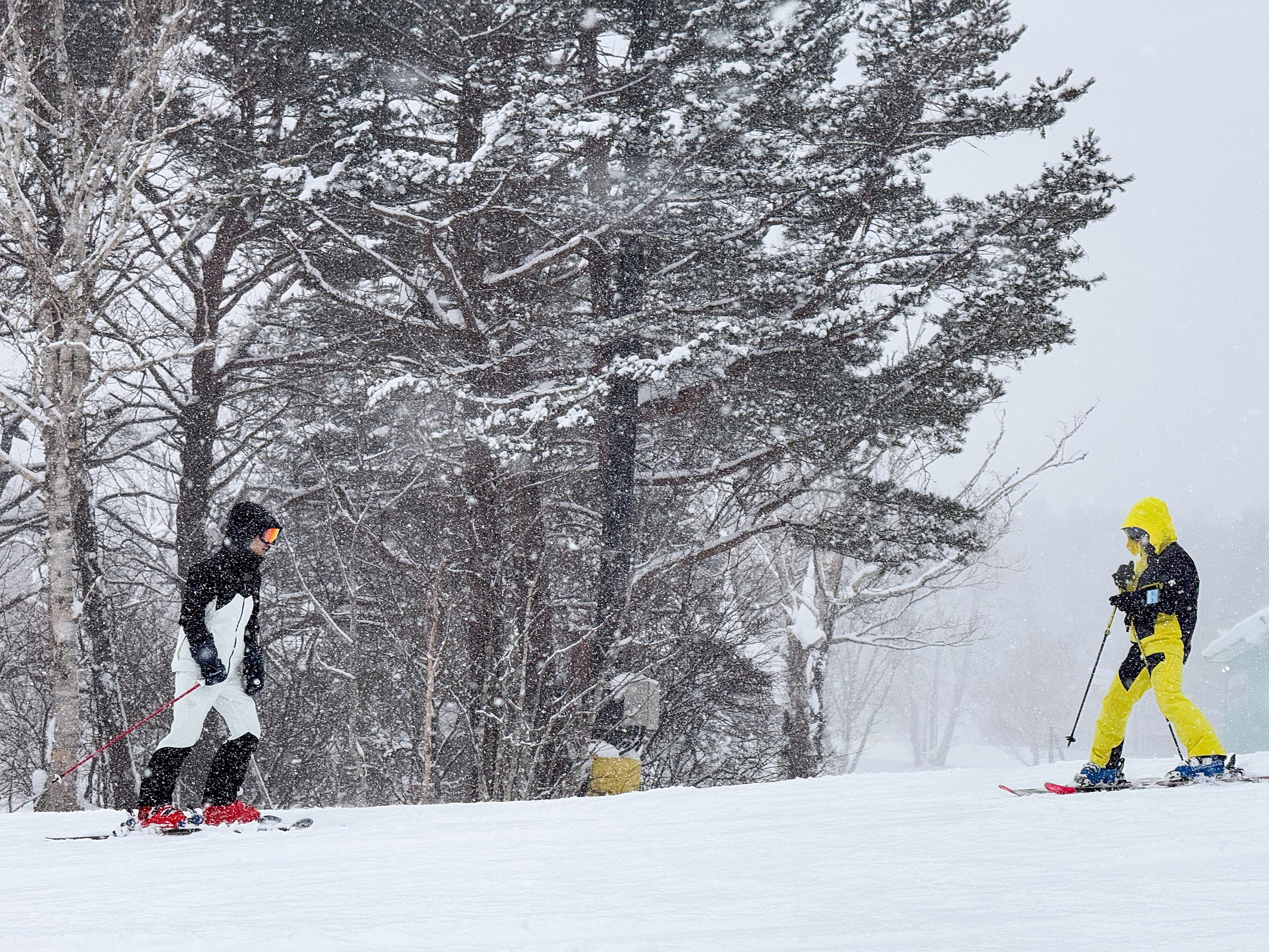 安比高原滑雪度假村共有21條路線,適合各種程度的滑雪客來挑戰。