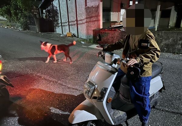 警員巡邏途中發現走失犬隻，靠麵包安撫成功讓牠不再亂跑。（翻攝畫面）