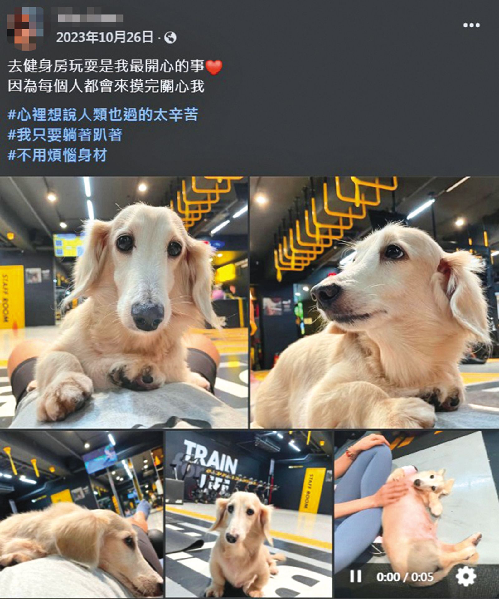 難得公開的生活日常,黃柏漙女密友卻分享了與狗狗的互動,可見也是愛狗一族。(翻攝自女密友臉書)