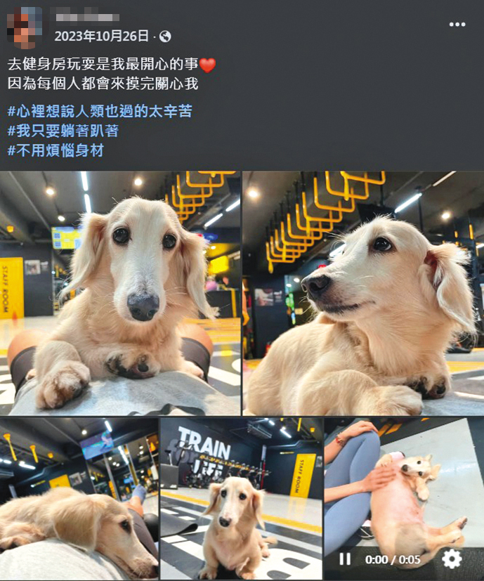 難得公開的生活日常,黃柏漙女密友卻分享了與狗狗的互動,可見也是愛狗一族。(翻攝自女密友臉書)