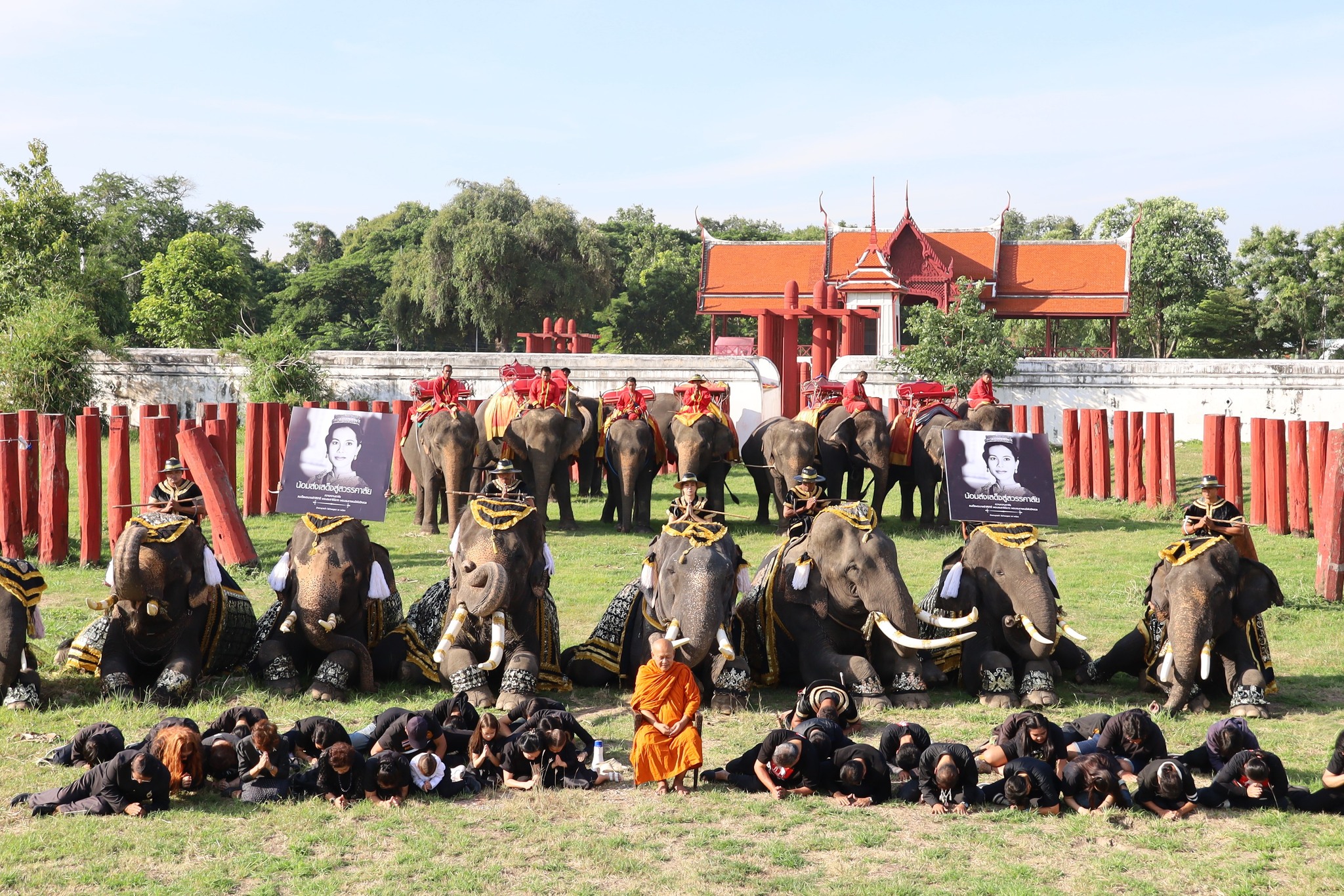 泰國象園9頭大象下跪，哀悼王泰后。（翻攝自臉書Khaosod English）
