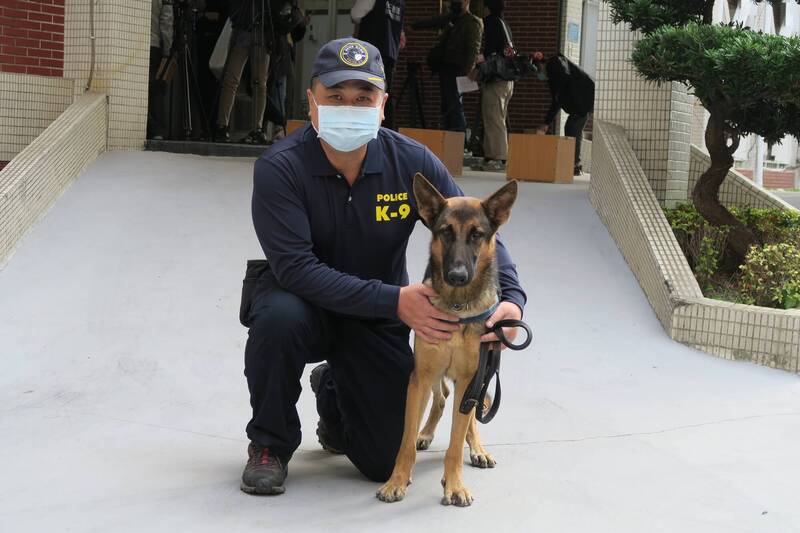 緝毒犬「馬肯」立功，是它標定大麻農場位置。（警方提供）