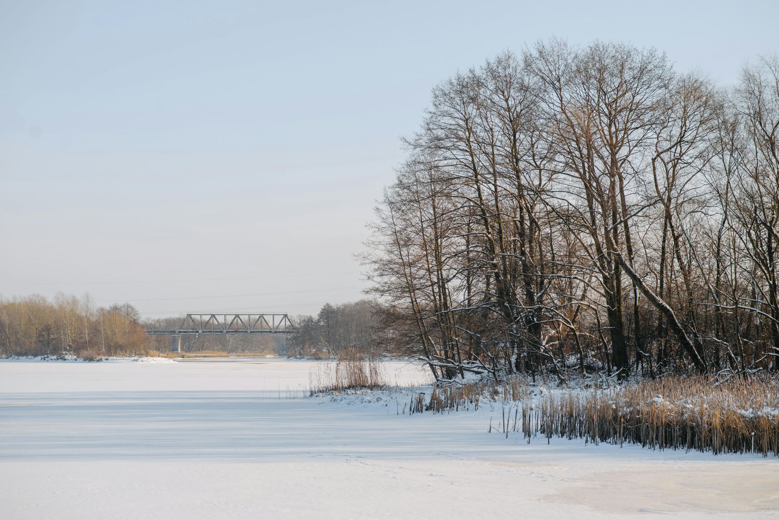 週六小雪!「4生肖」恐小病不斷 命理師揭開運養生祕方