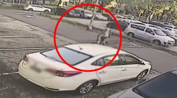 高雄左營22日清晨發生槍擊案，當時正在遛狗的羅姓男子（紅圈處）遭連開16槍斃命。（翻攝畫面）