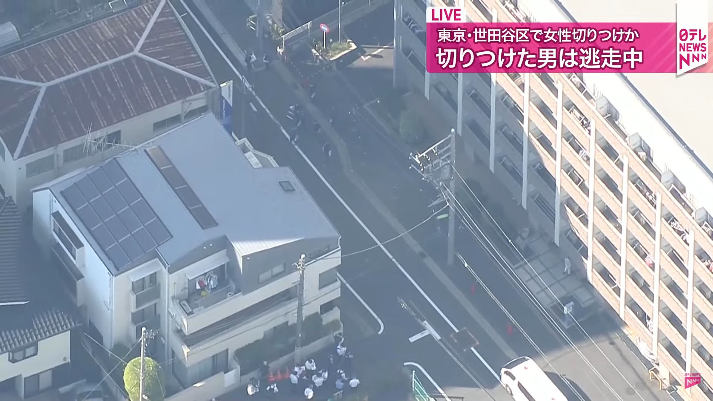 東京驚傳當街砍人案，1名輕熟女頸部流血倒臥路上。（翻攝日テレNEWS直播）