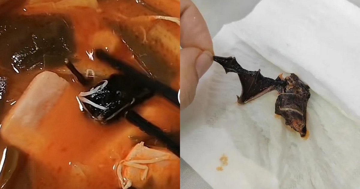 有消費者在楊國福麻辣燙中吃到蝙蝠，造成心理陰影。（翻攝自潇湘晨报）