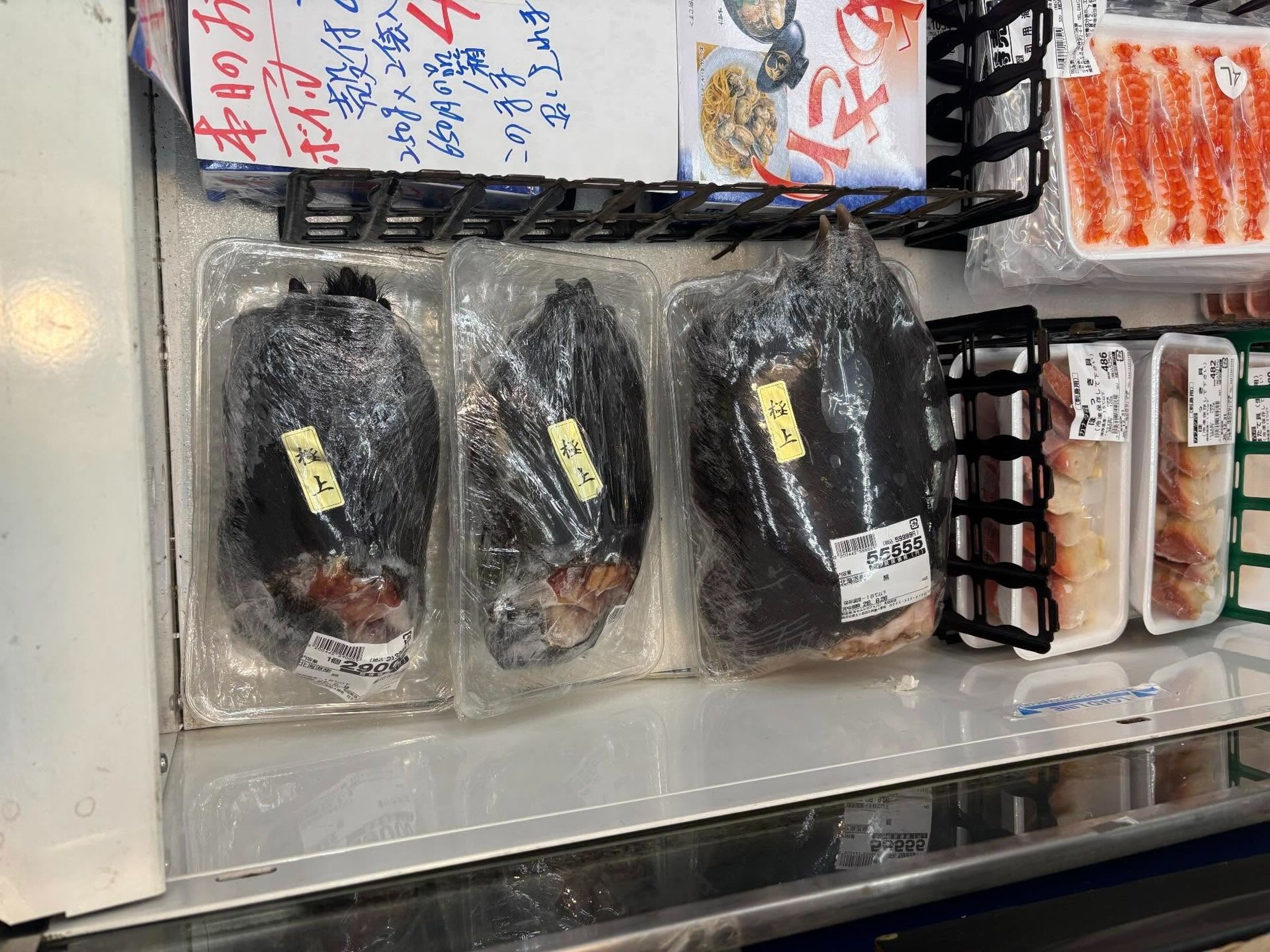 有日本網友在超市肉品區驚見整隻未經處理的熊掌上架販售，引發民眾熱烈討論。（翻攝自Threads kitten210309 ）
