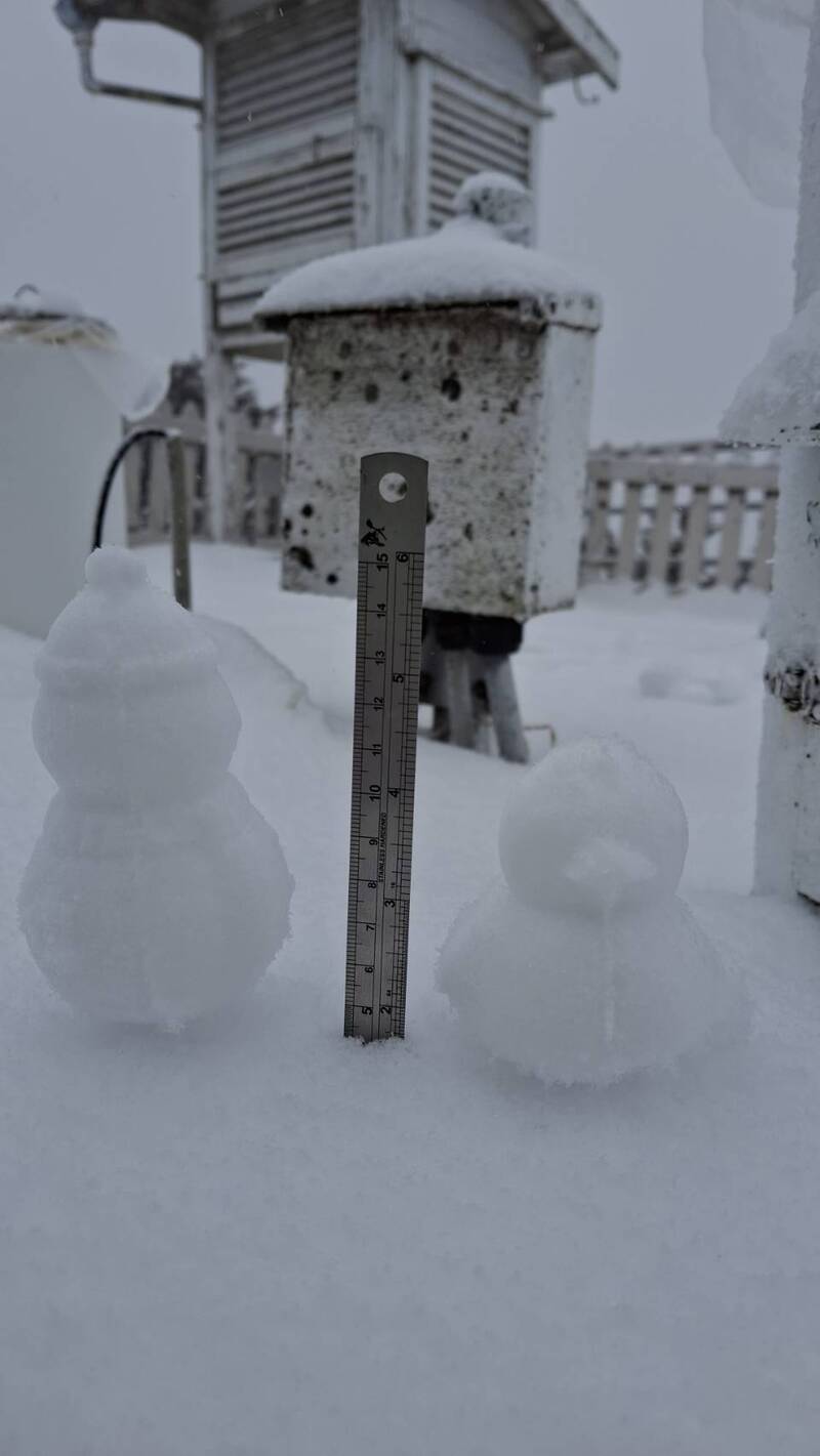 今日7時起，玉山開始降雪，雪深已達4公分。（中央氣象署提供）