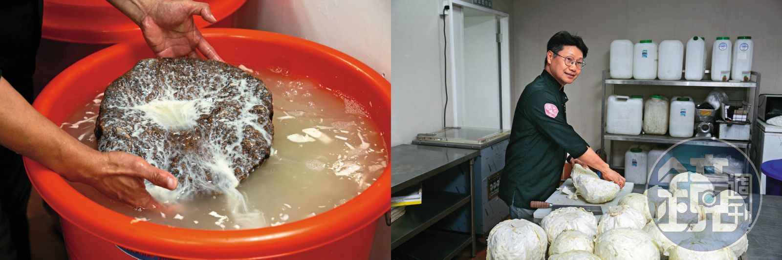 侯友宜祕書賣鍋賠二億2／沒跟主廚續約 下場是酸菜菌種全被毀滅