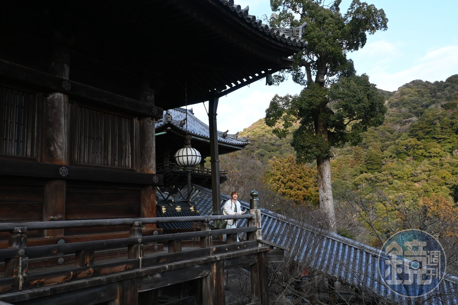 參拜完會變漂亮!四季皆美花之御寺 特別拜觀朝聖12公尺高日本國寶觀音像