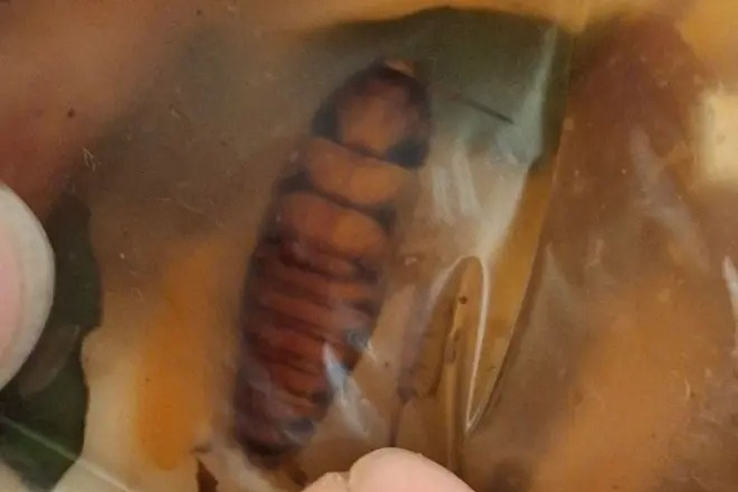 網友發文指控汐止某間老店羹湯裡有隻大蟑螂,老闆卻不以為意,繼續把那鍋羹湯賣給其他客人。(翻攝自臉書社團「汐止集團」)