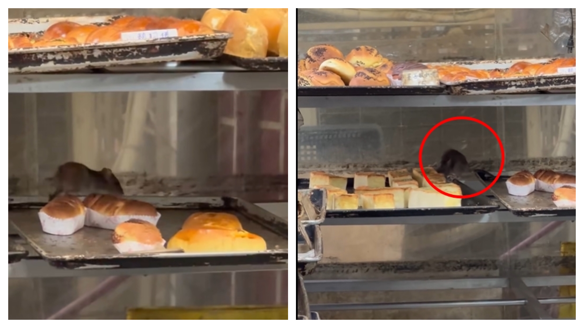 新北三重老字號麵包店驚爆「米奇巡店」事件。（翻攝自臉書@爆料公社）