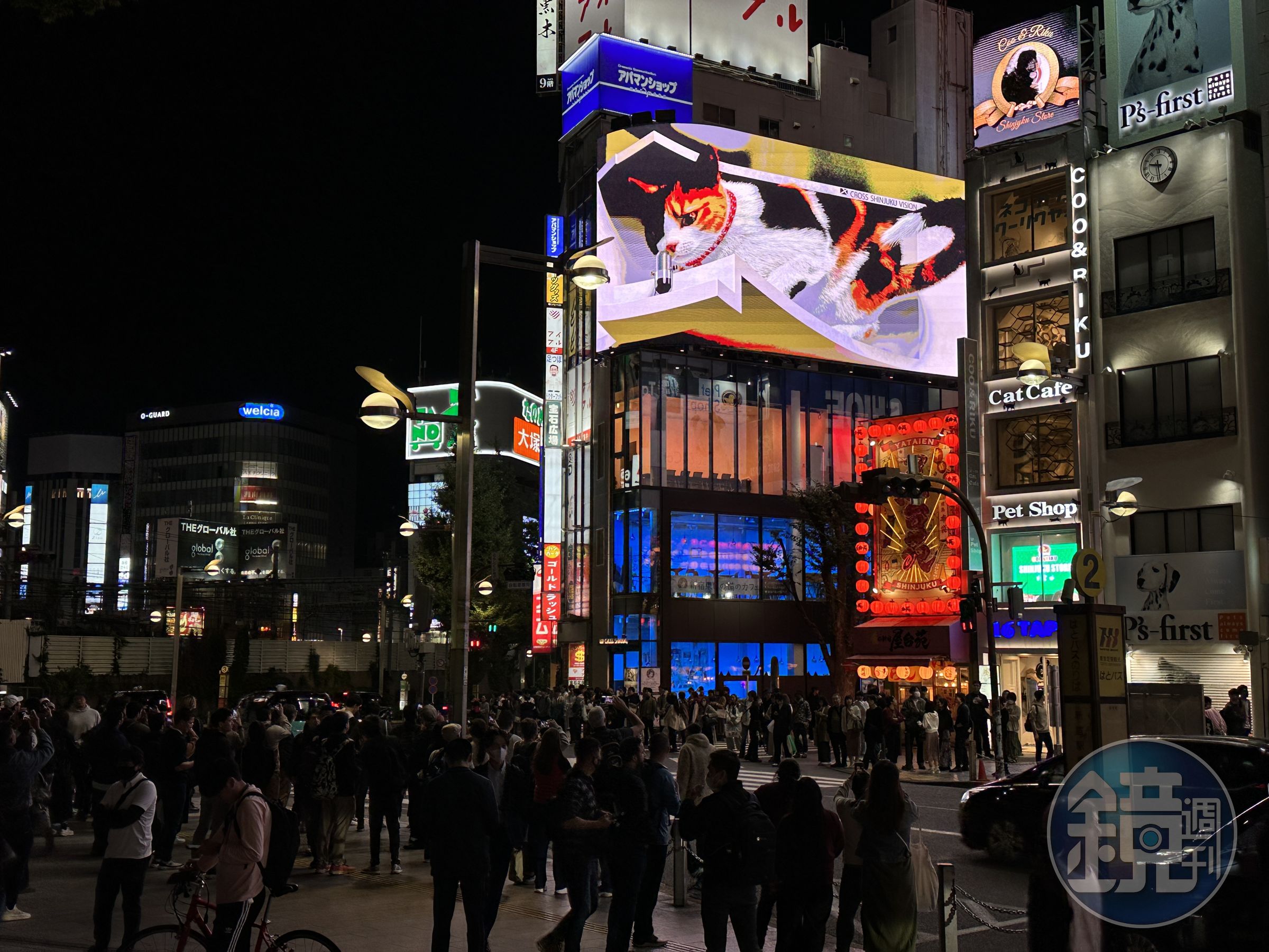 新宿車站東口旁的3D廣告螢幕，招牌吉祥物三花貓每隔一段時間就會出來見客，吸引遊客搶拍。