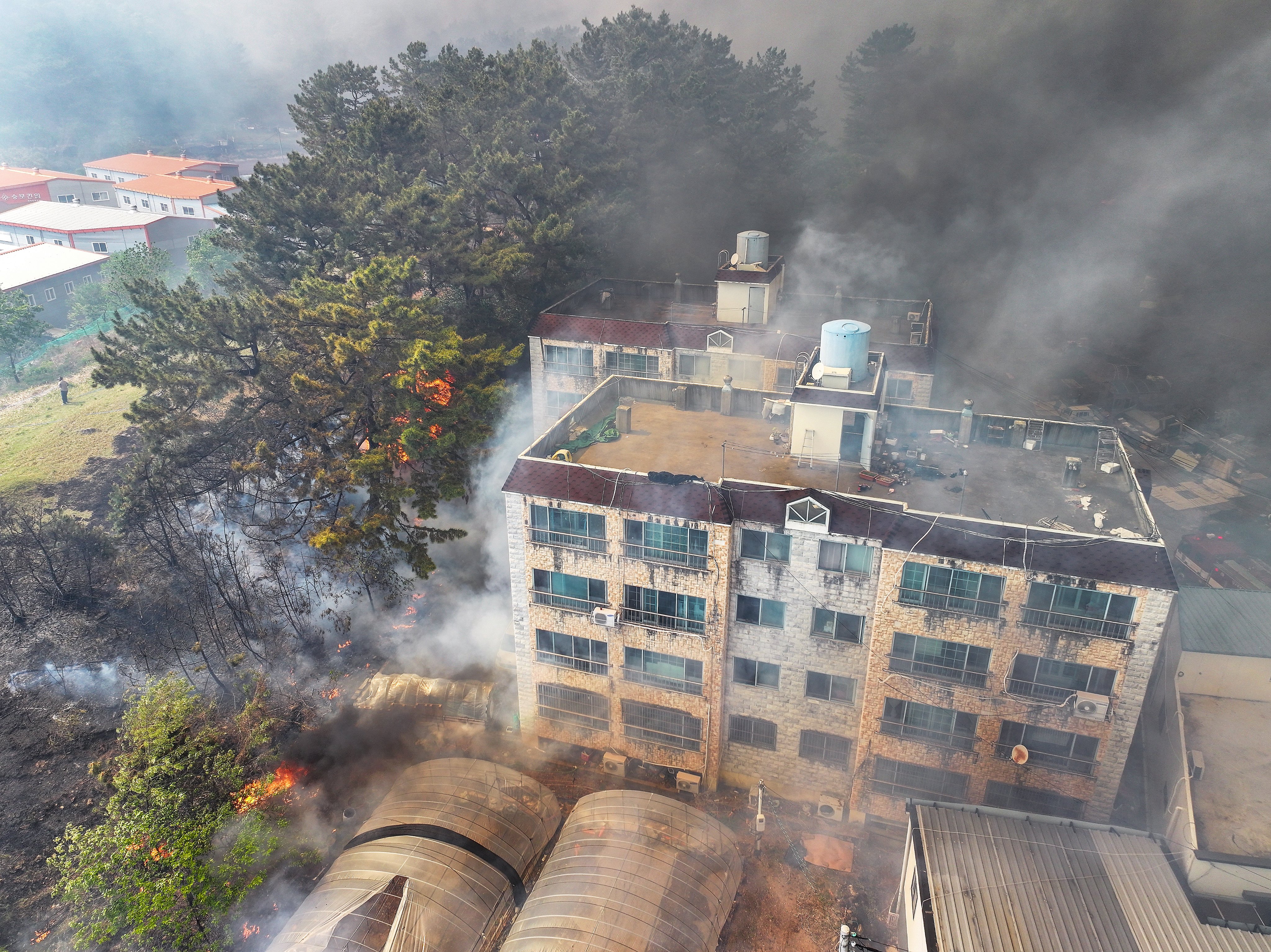 南韓爆山林大火，民宅遭野火包圍。（翻攝韓聯社）