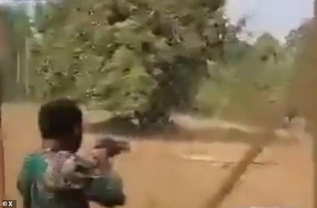 最後園方也決定，將這頭公獅射殺處死。（翻自X平台）