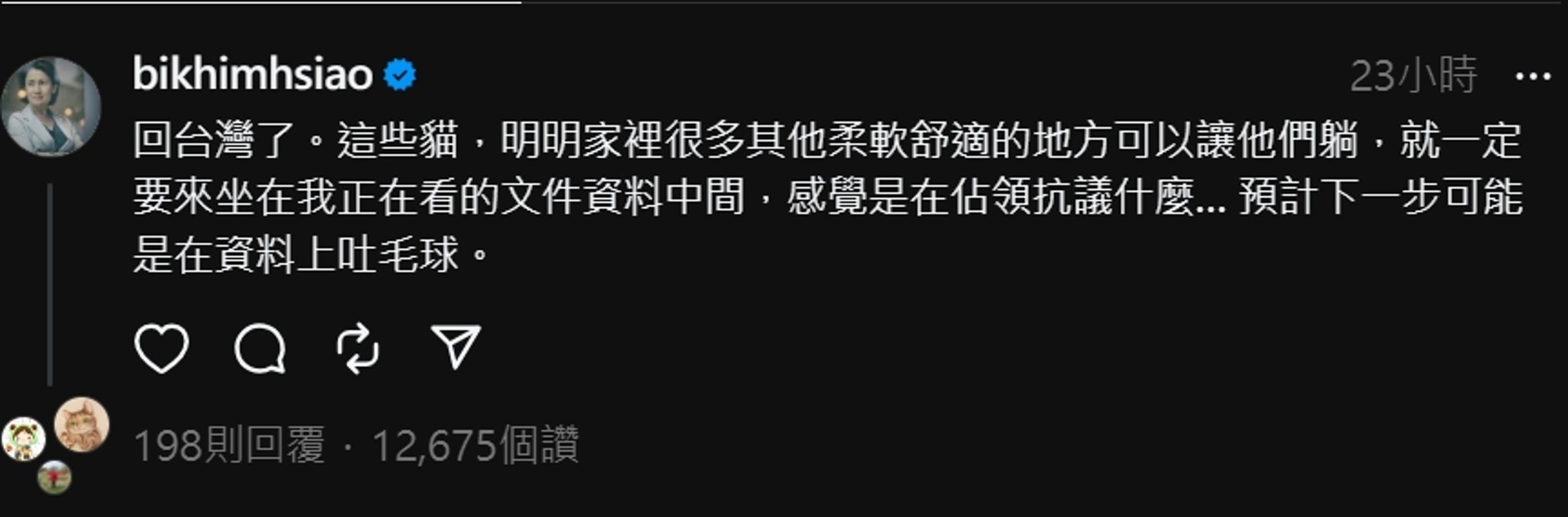 蕭美琴昨在Threads貼文,甜蜜抱怨家中的貓干擾工作。(翻攝Threads)