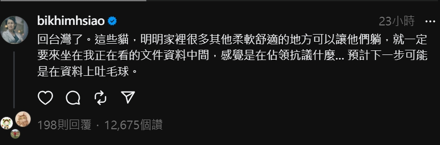 蕭美琴昨在Threads貼文,甜蜜抱怨家中的貓干擾工作。(翻攝Threads)