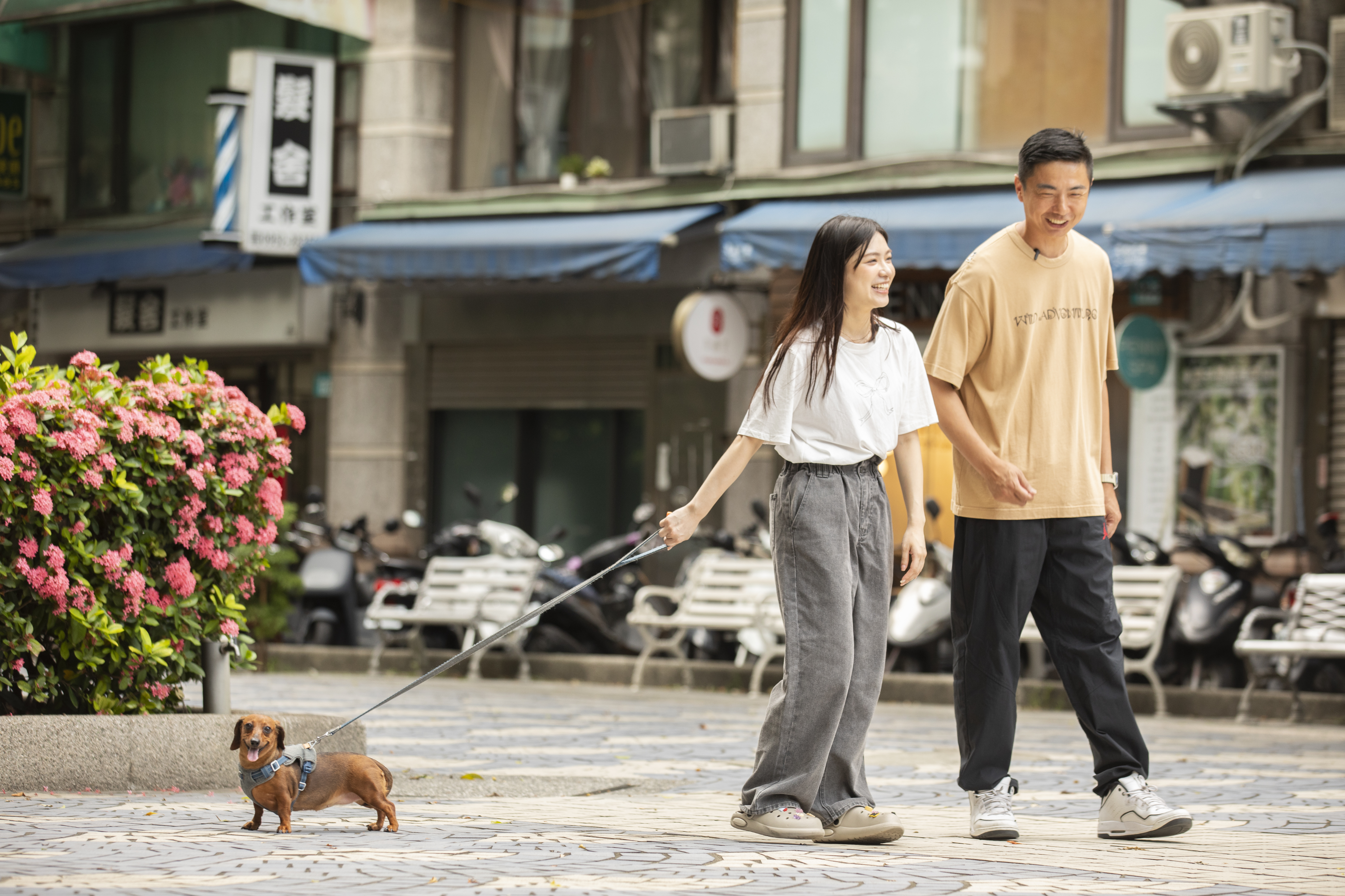 多尼太想主人，賴愈汝以後每天會多抽空陪伴。