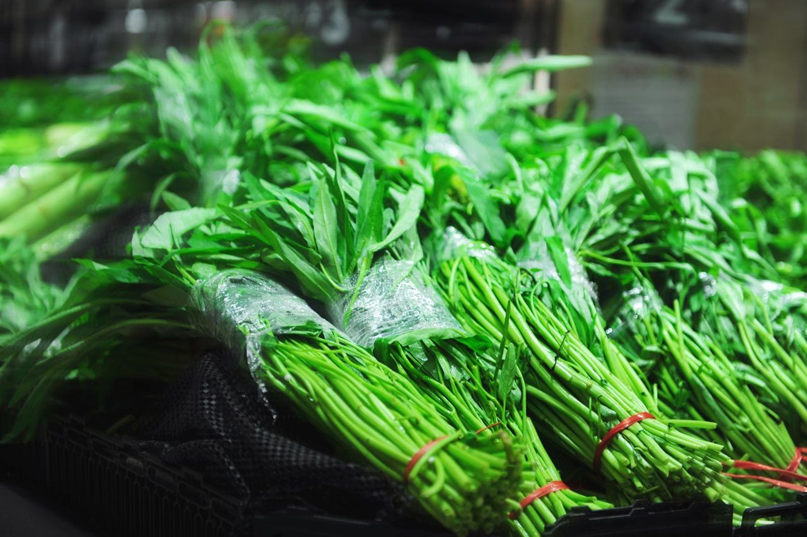 菜價Hold不住!豪雨重創減產 空心菜狂飆7倍:恐再漲