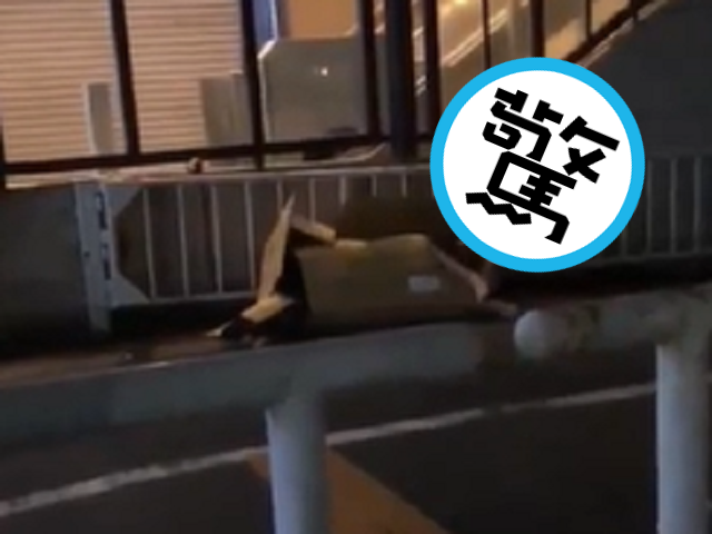 回收廢紙箱「超自然震動」，仔細看太驚悚！竟是男女街頭活春宮。（翻自《黑料網》）