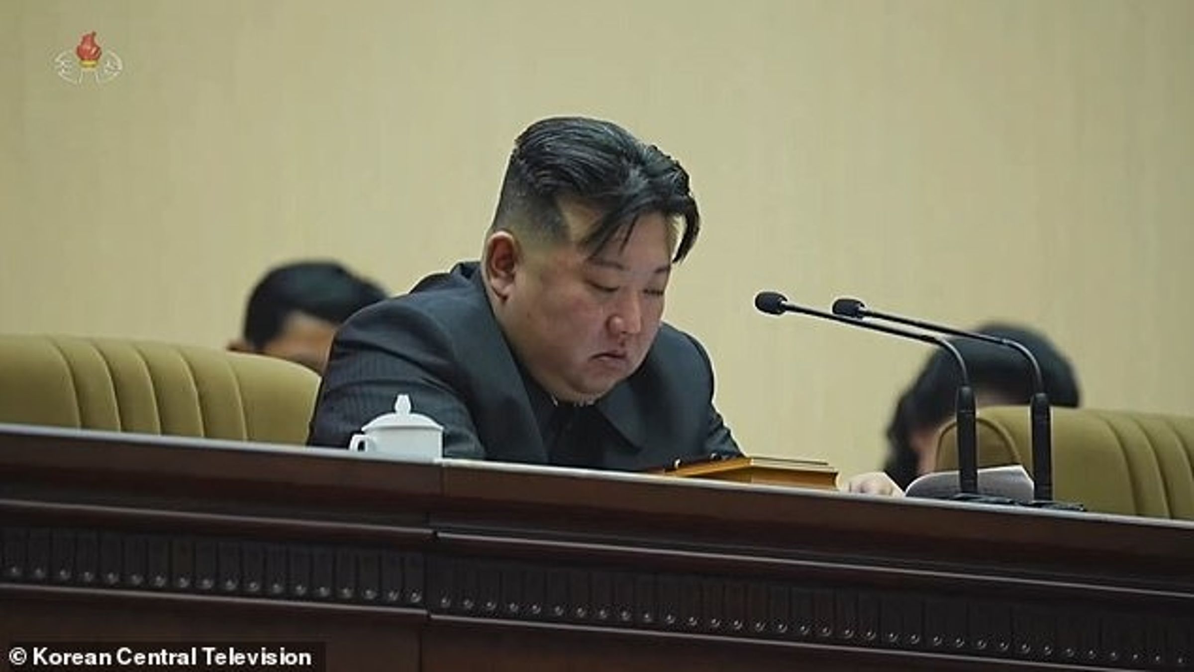 金正恩哭了！影帝級飆淚感動大媽，求妹子們「多生小孩」。（翻自北韓《央視》）