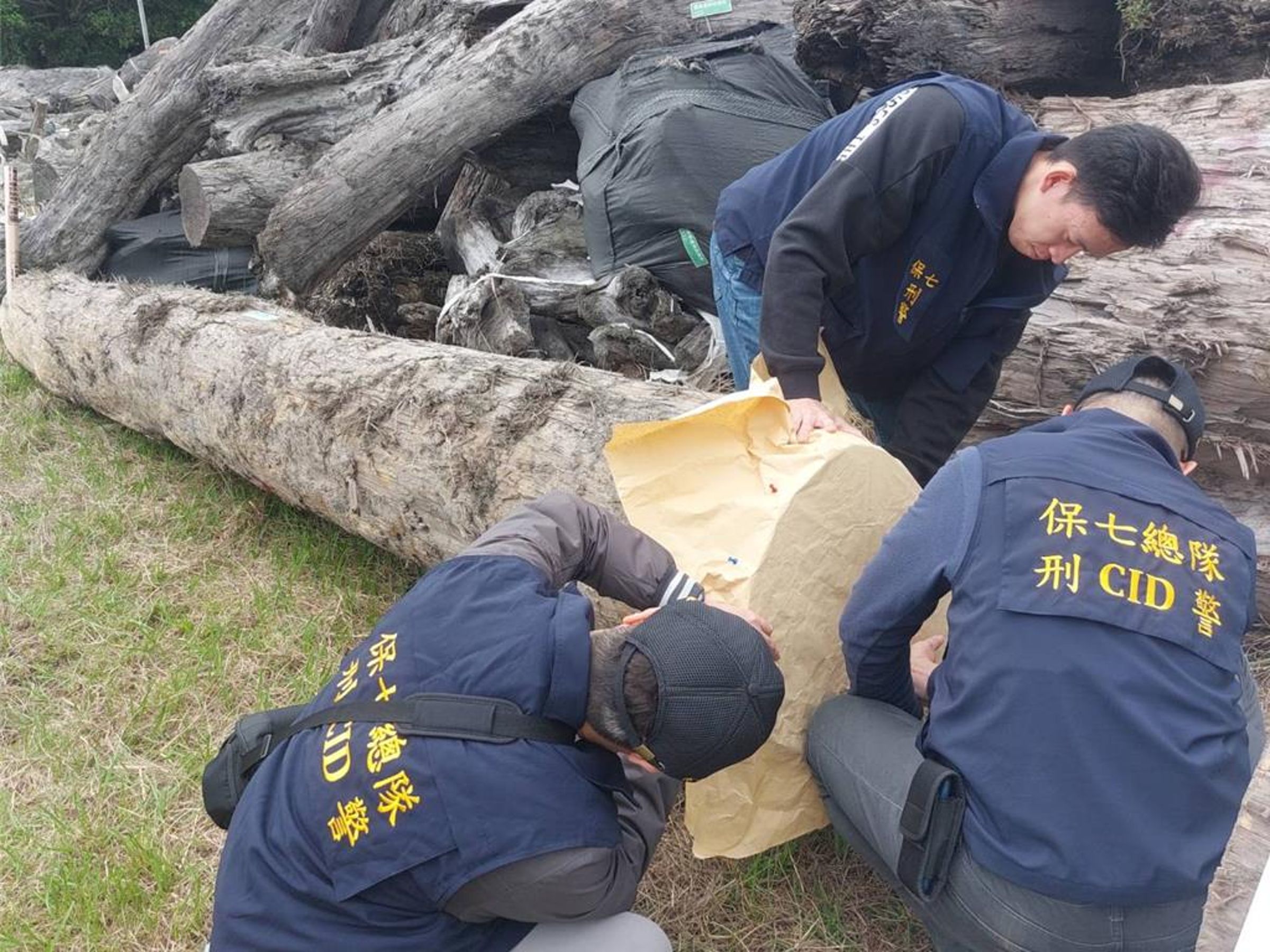 經過對比切面拓模，警方確認這些木材正是李男非法運送的紅檜。（翻攝畫面）