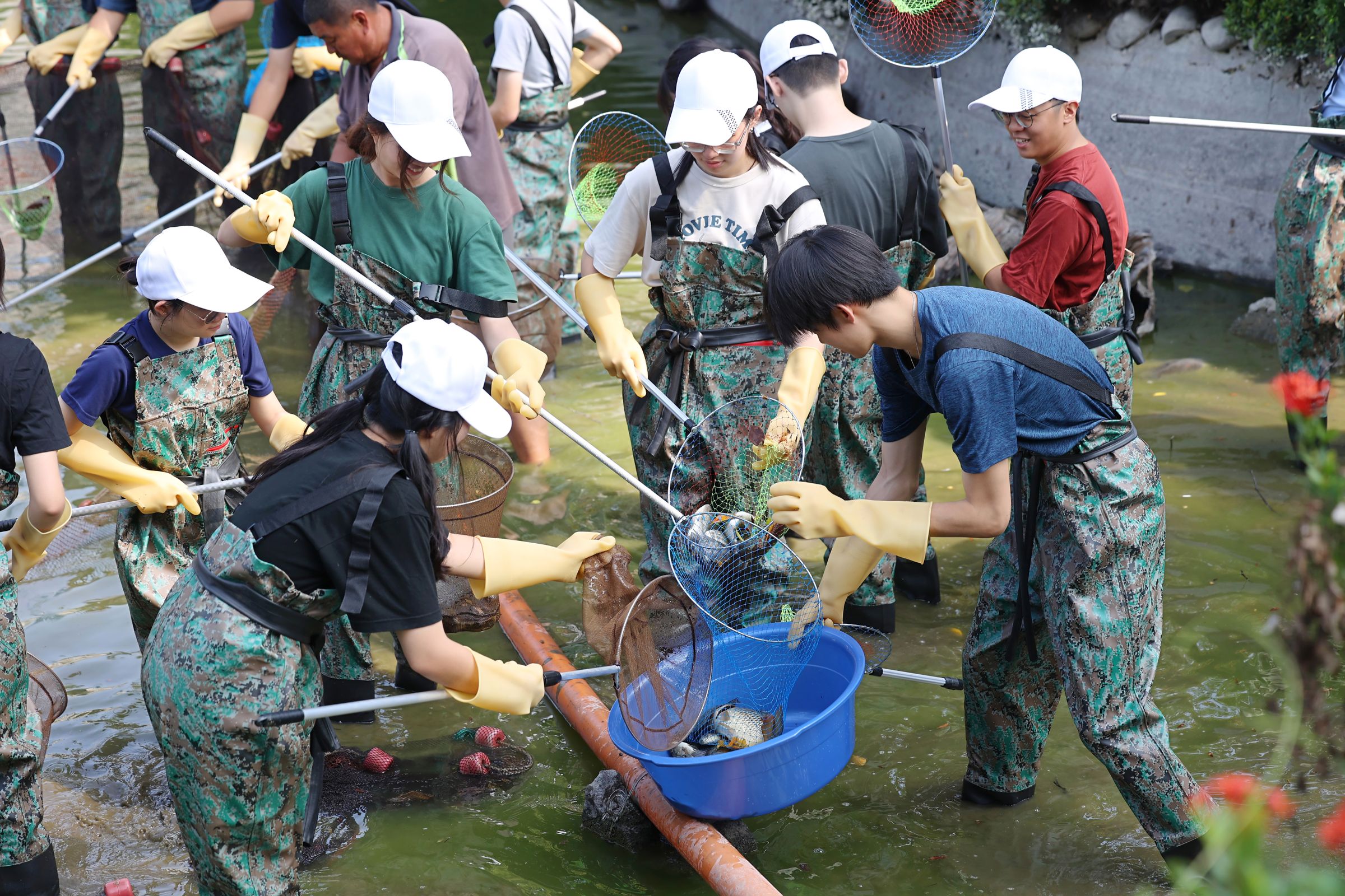 學生們興致勃勃地撈魚。（成功大學提供）