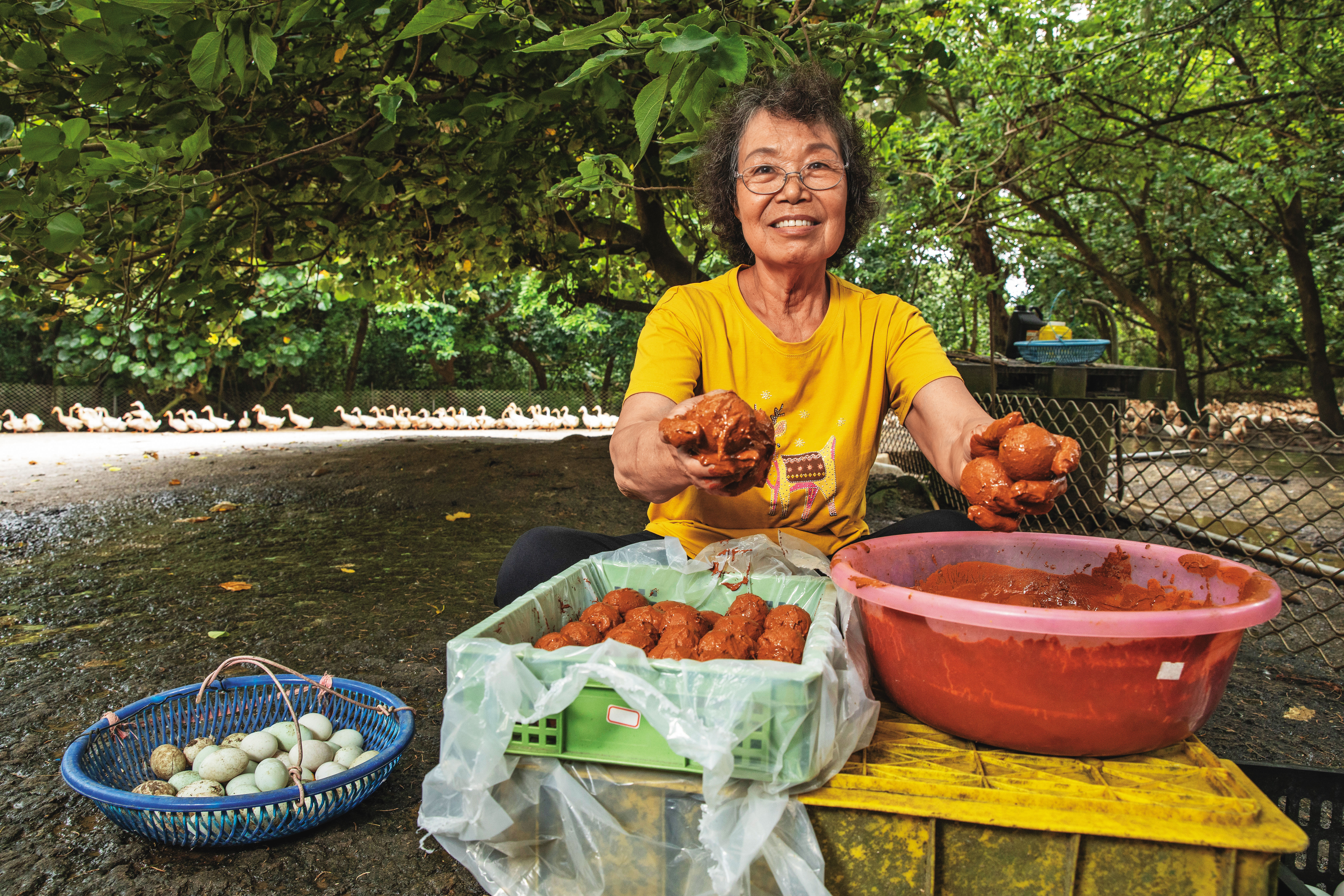 新竹鳳坑姜家養鴨、賣鴨蛋已超過150年，4代媳許緞是「老姜的店」的定海神針，店裡賣著她堅持傳統古法製作的紅土鹹鴨蛋。