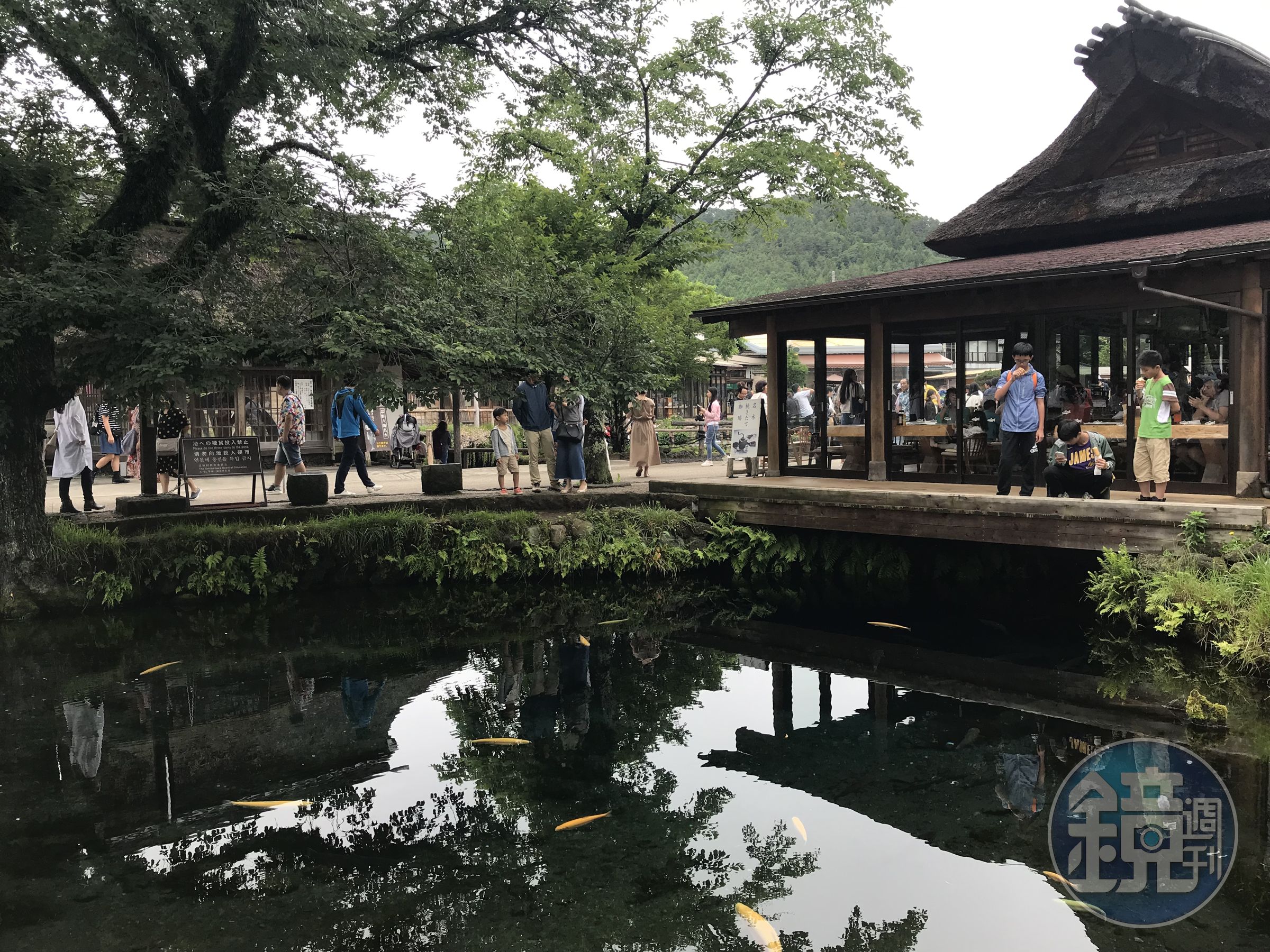 富士山知名景觀「忍野八海」的池塘因為太多遊客喜歡丟硬幣，造成環境問題。（資料照）