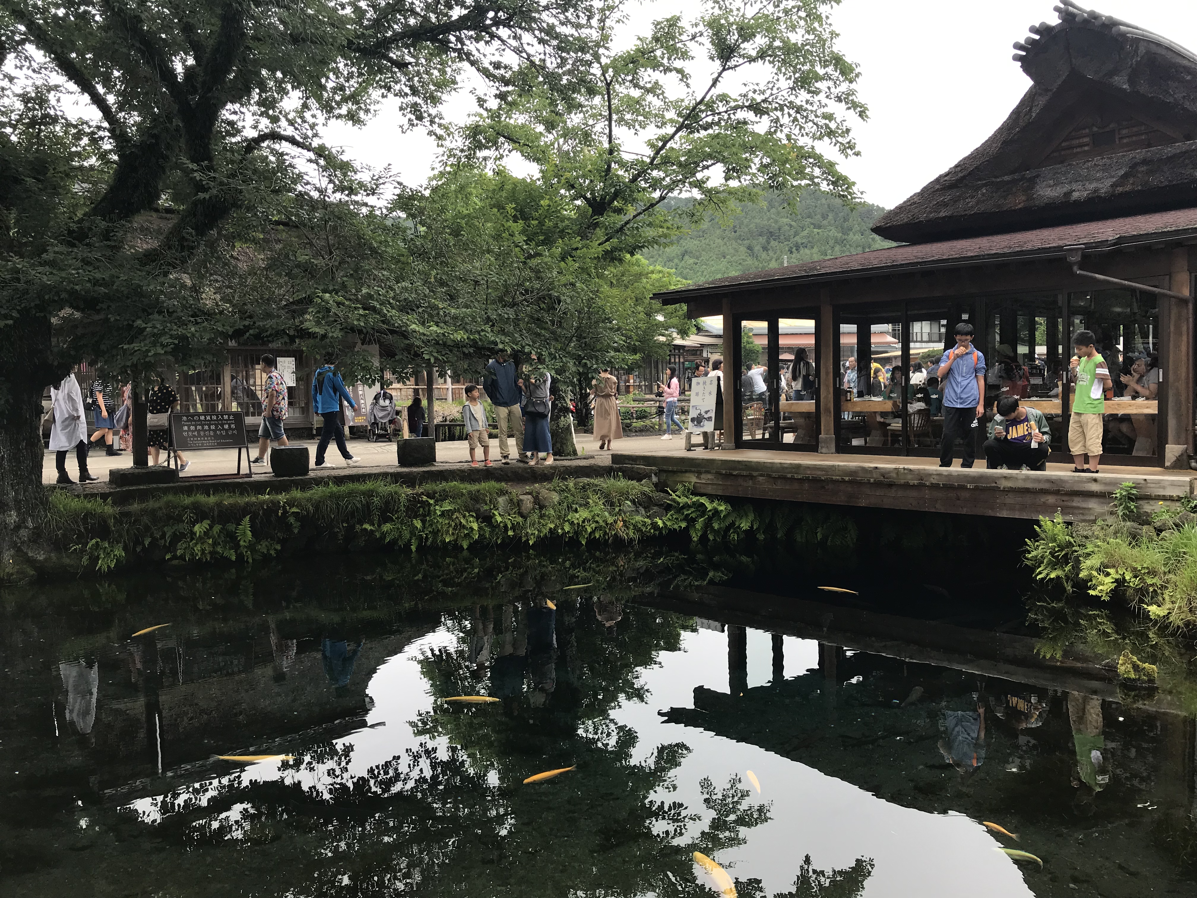 日本山梨縣的知名景點「忍野八海」因為被觀光客狂丟硬幣許願，當局不堪其擾，將祭出嚴懲。