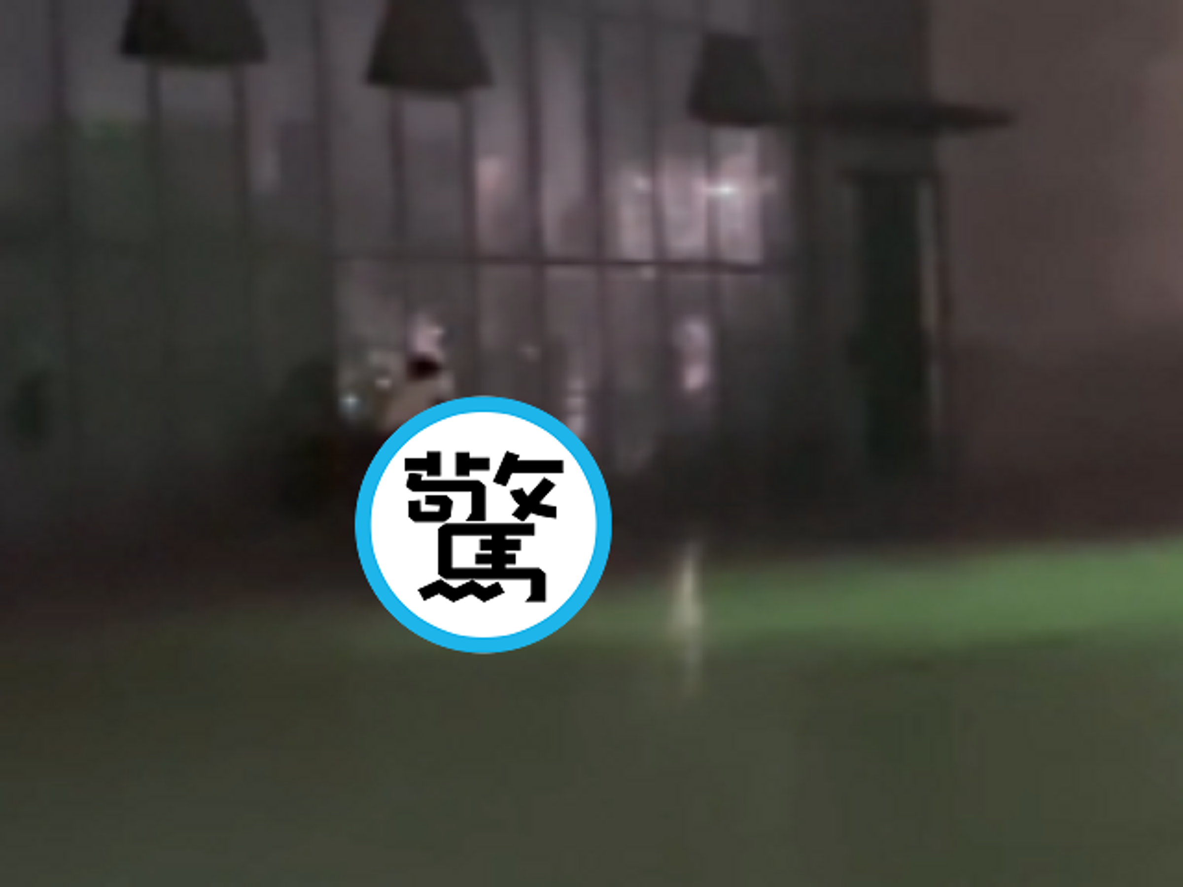 野戰首選校園，炮火連天！情侶與圍觀鄉民都興奮。（翻自《黑料網》）