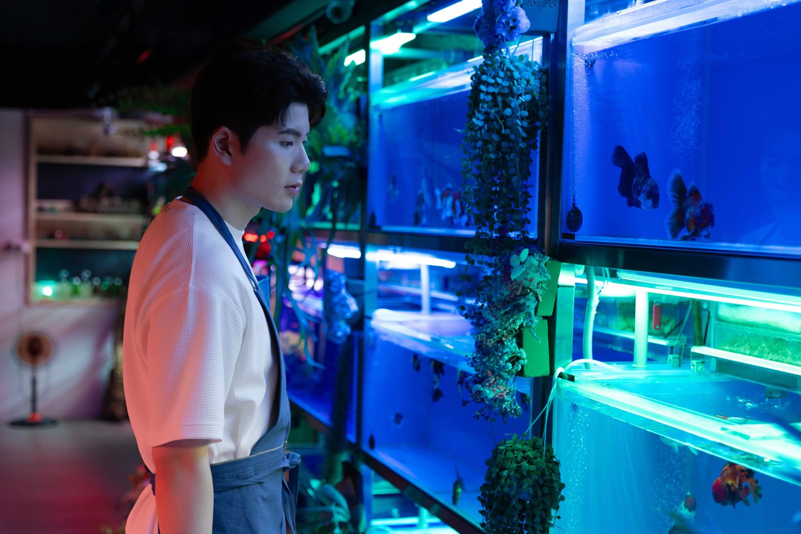 寫歌駁雙魚座愛情不專一　張鶴曦錄音唱到差點哭出來