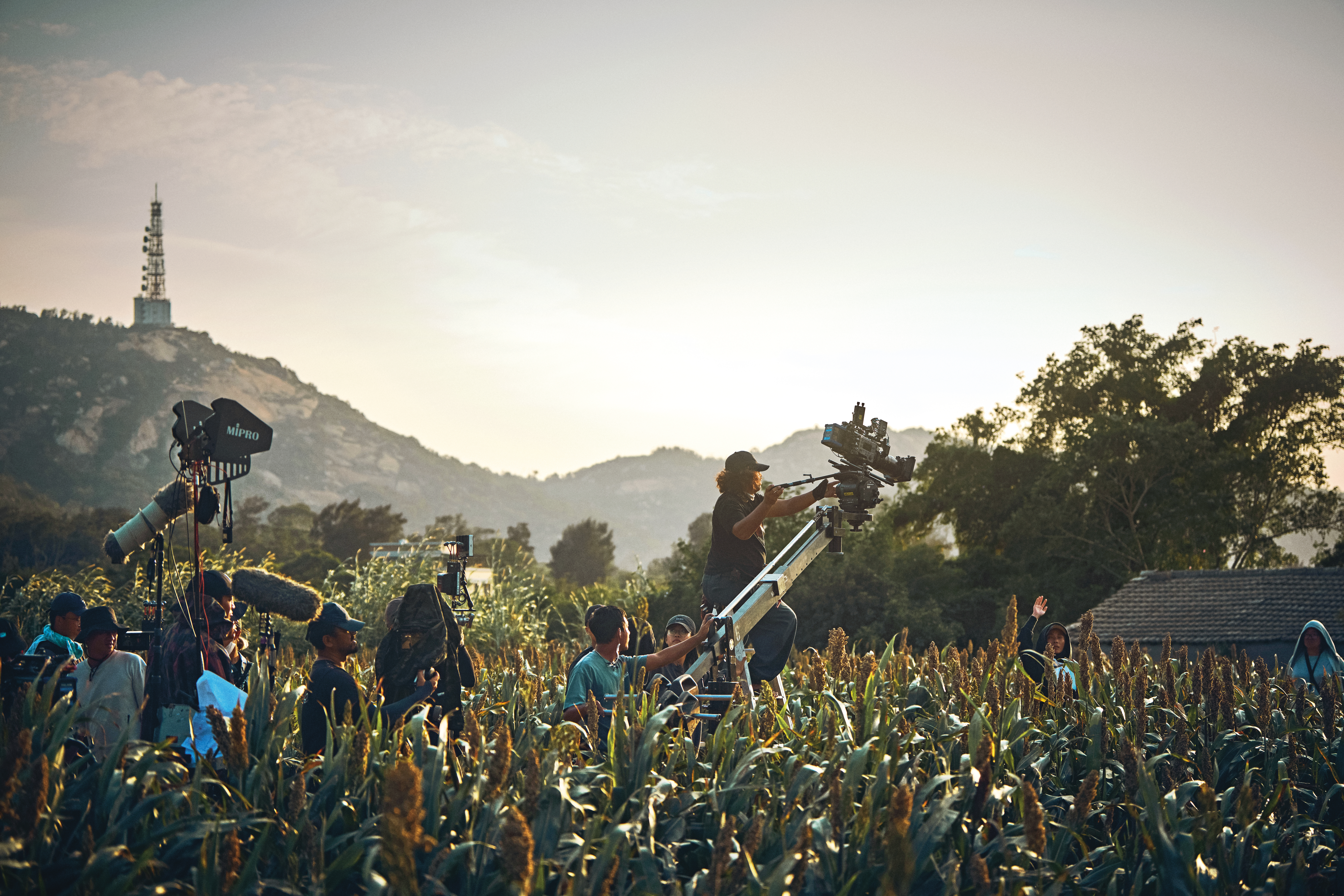 劇組選在10月收割季前開鏡，補捉高粱結穗累累的田園風光。（大川大立提供）