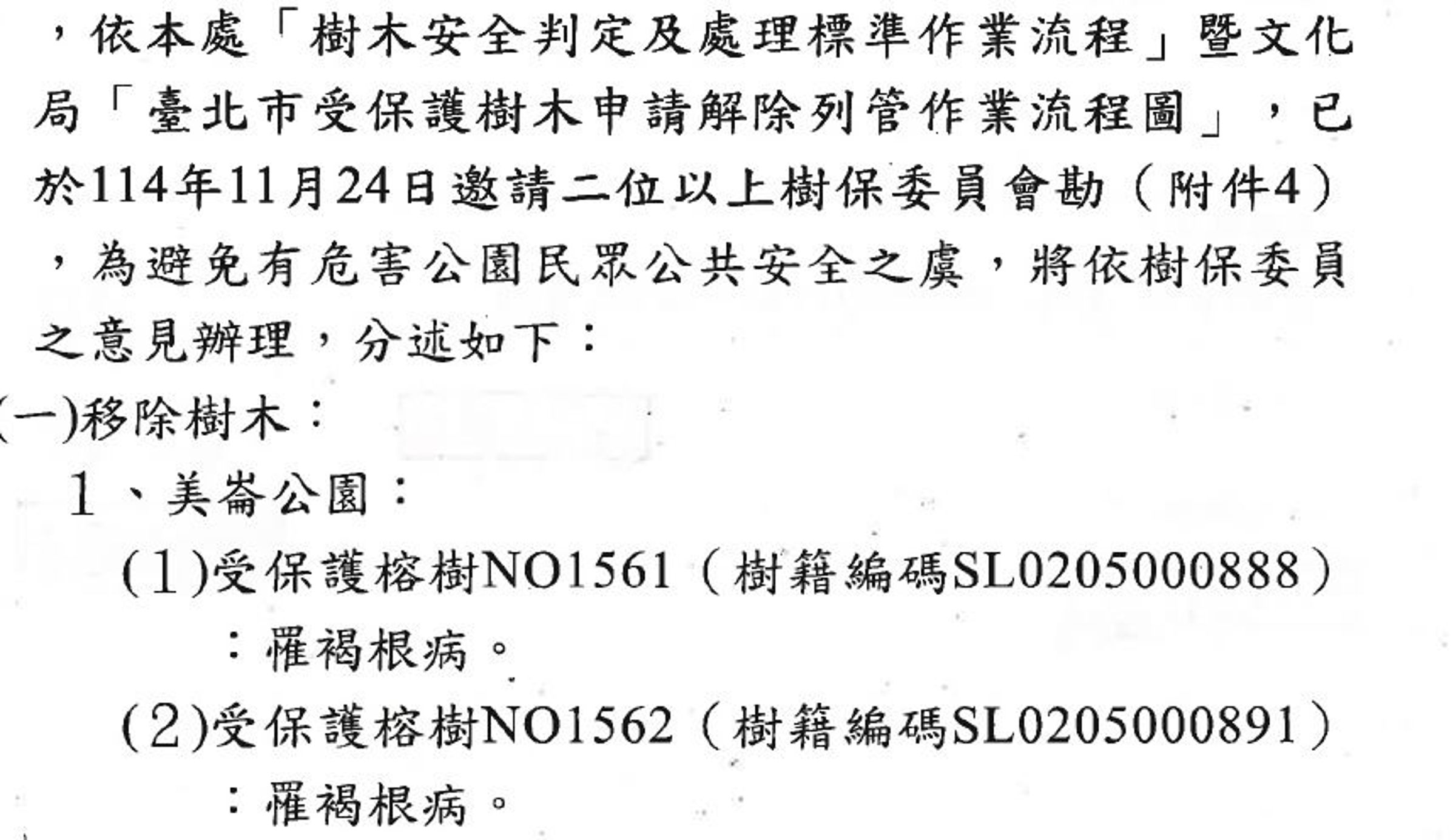 台北市政府工務局公園處出面鄭重澄清,強調移除樹木完全是基於安全考量,並非刻意破壞歷史。(公園處提供)