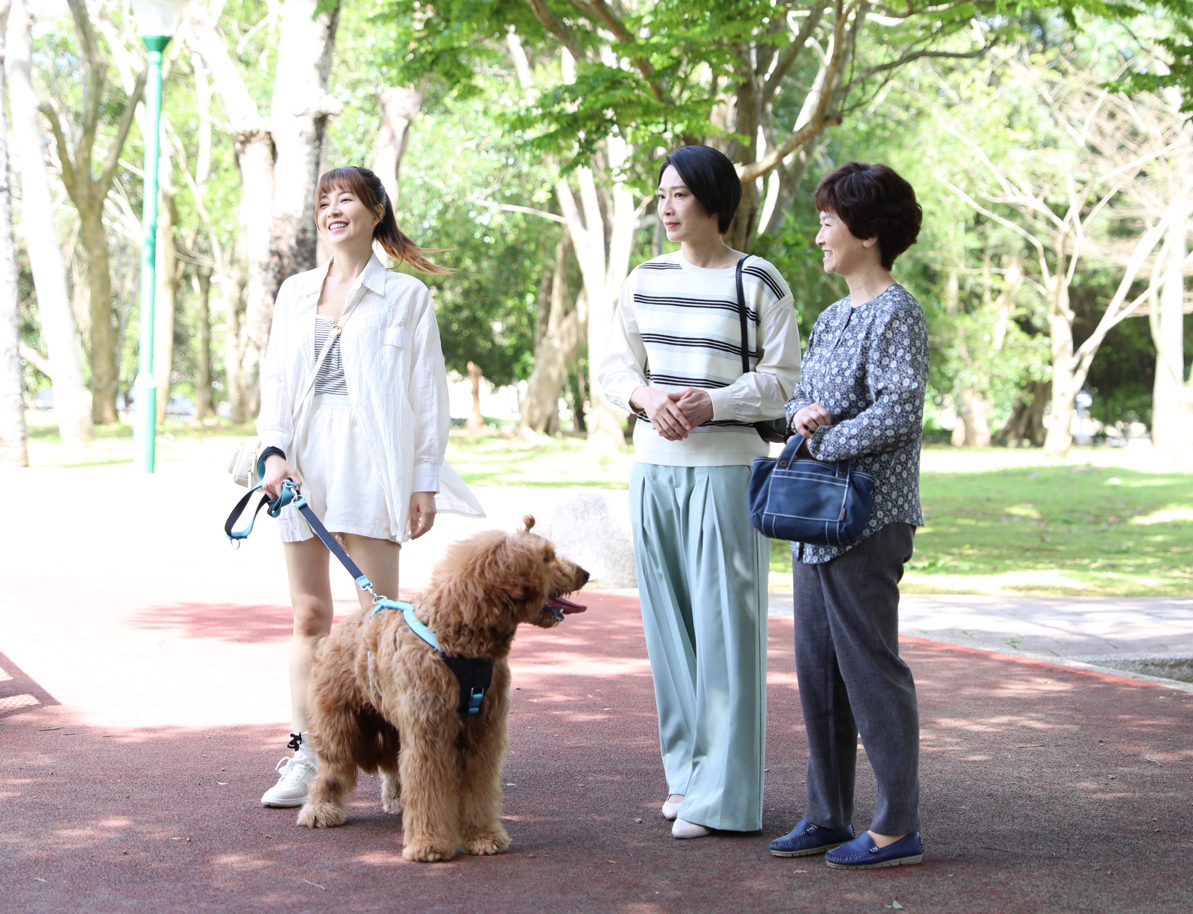 謝京穎《好運來》代客遛狗遇到媽媽侯怡君跟阿嬤謝瓊煖，現場笑聲連連。（民視提供）