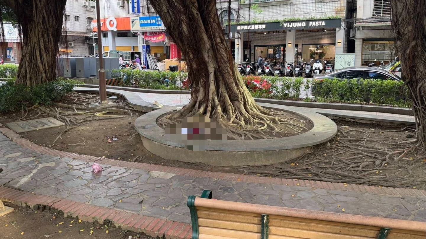 新北市新莊區福壽公園今(16日)傍晚發生持刀傷人案件。(翻攝畫面)